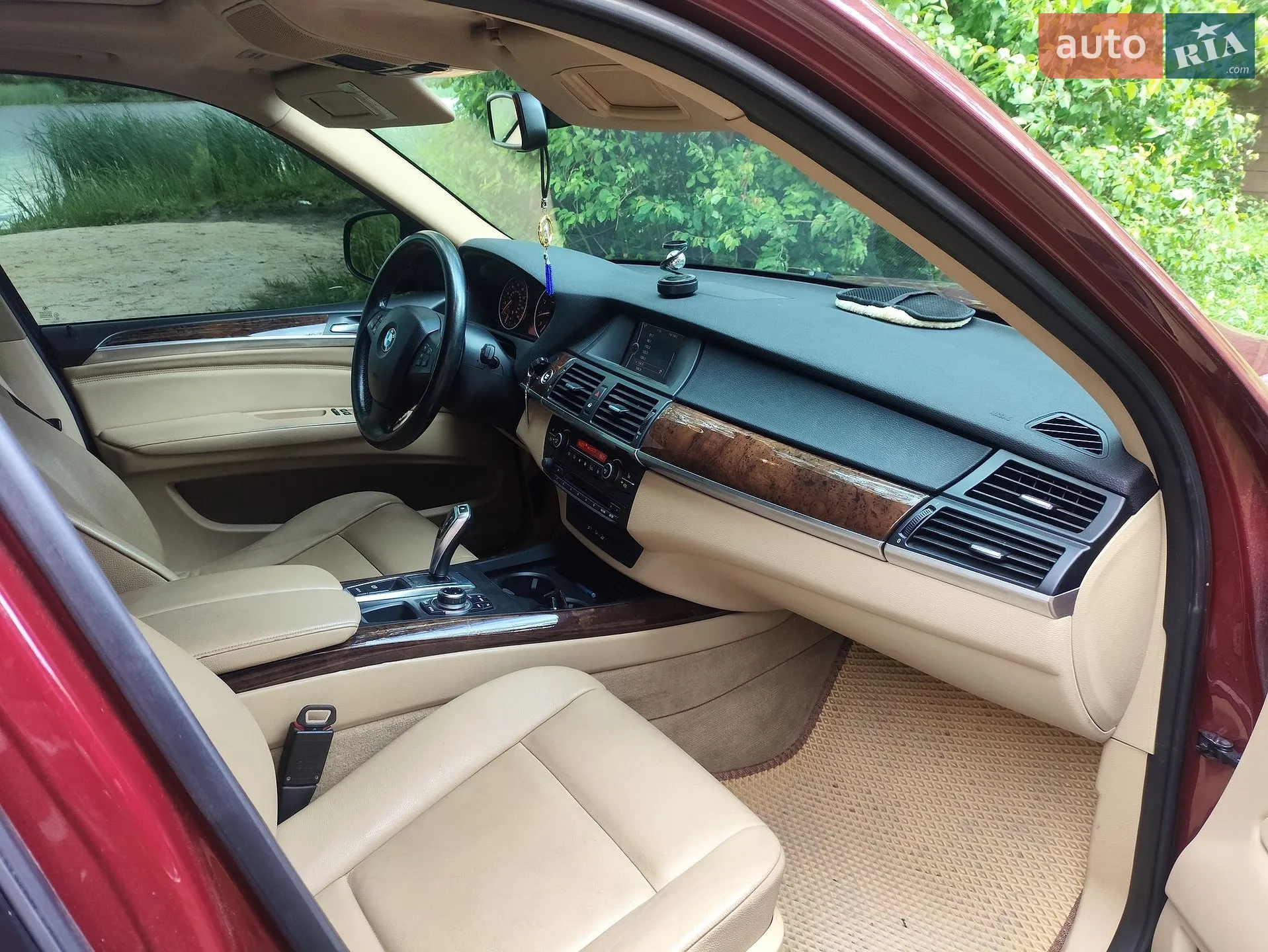2010 BMW X5 - мініатюра 7