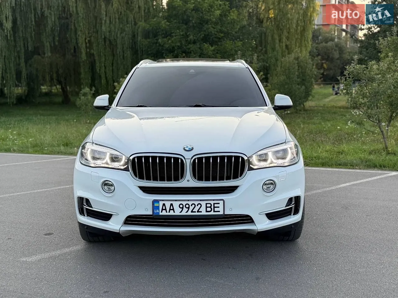 2014 BMW X5 - мініатюра 4