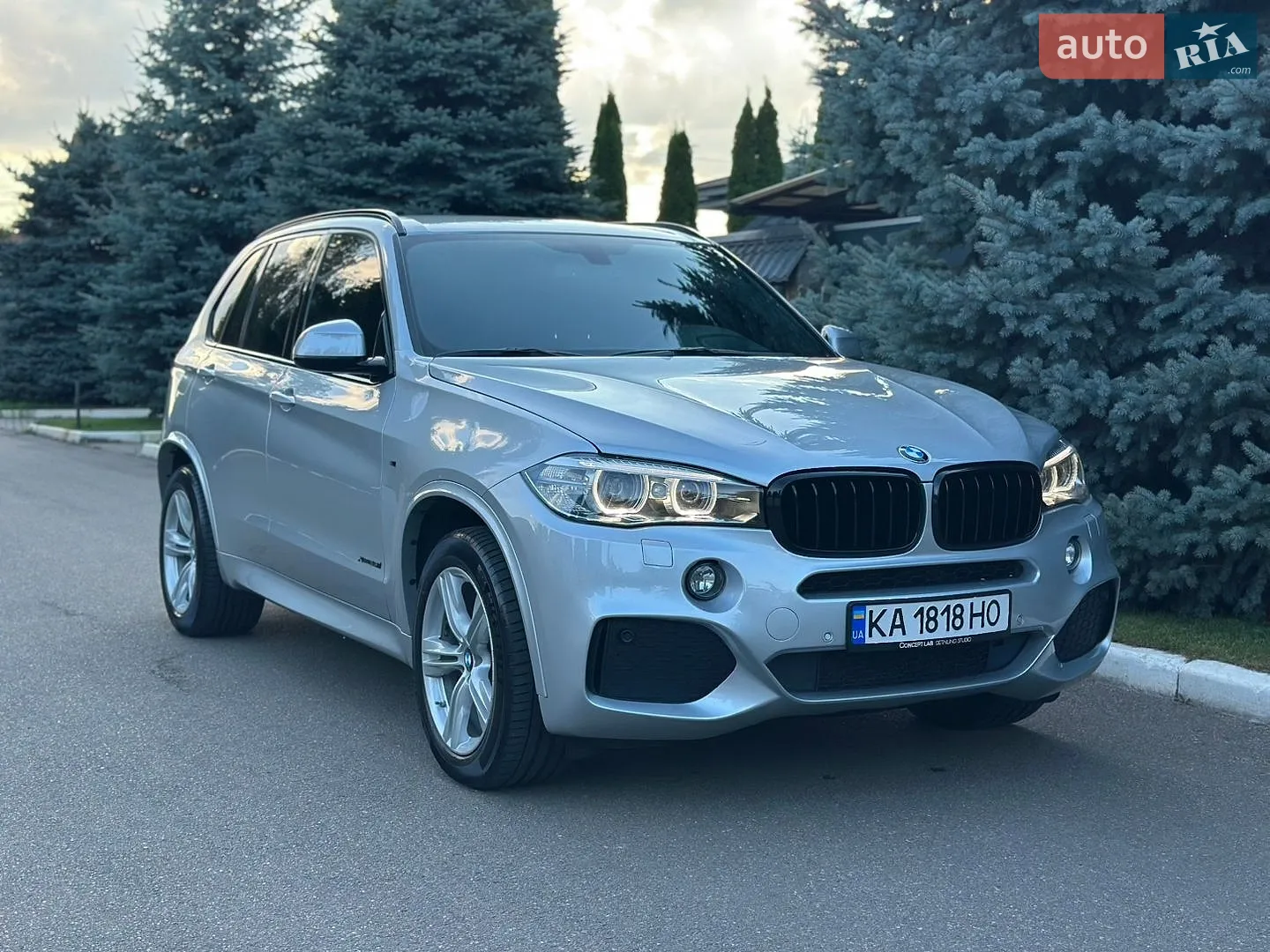 2017 BMW X5 - мініатюра 2
