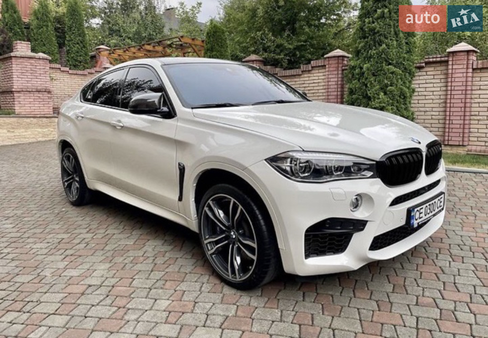 2017 BMW X6 - мініатюра 5