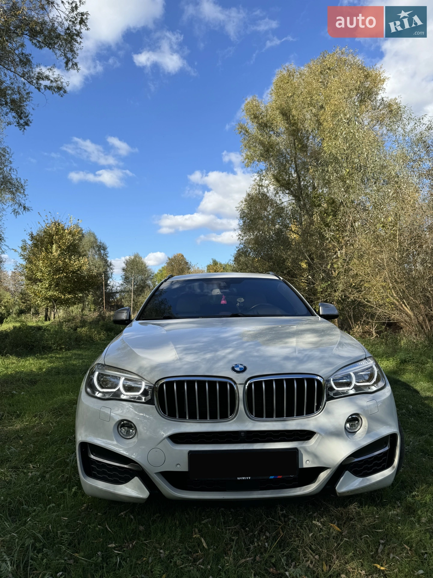 2018 BMW X6 - мініатюра 3