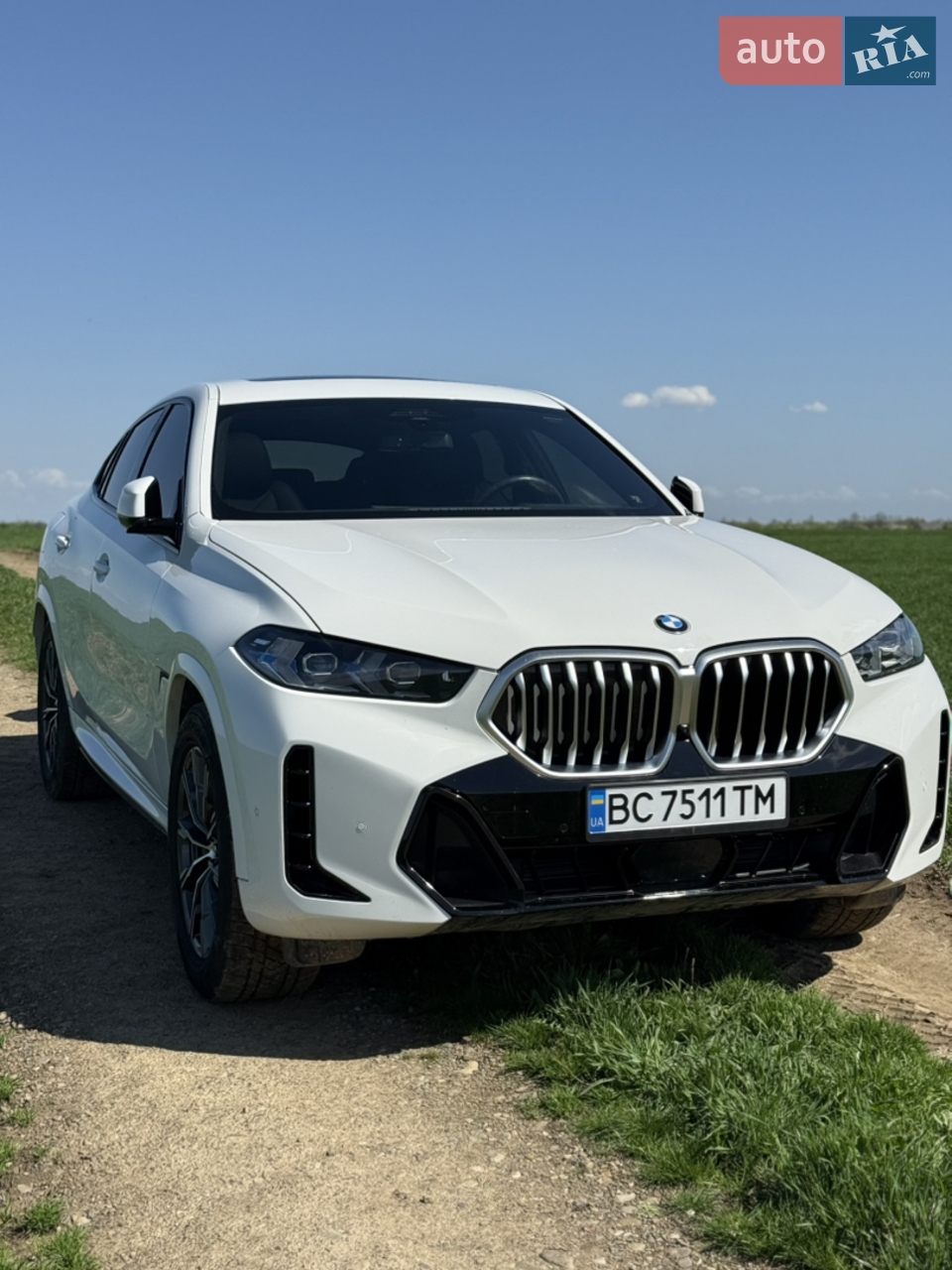 2022 BMW X6 - мініатюра 38