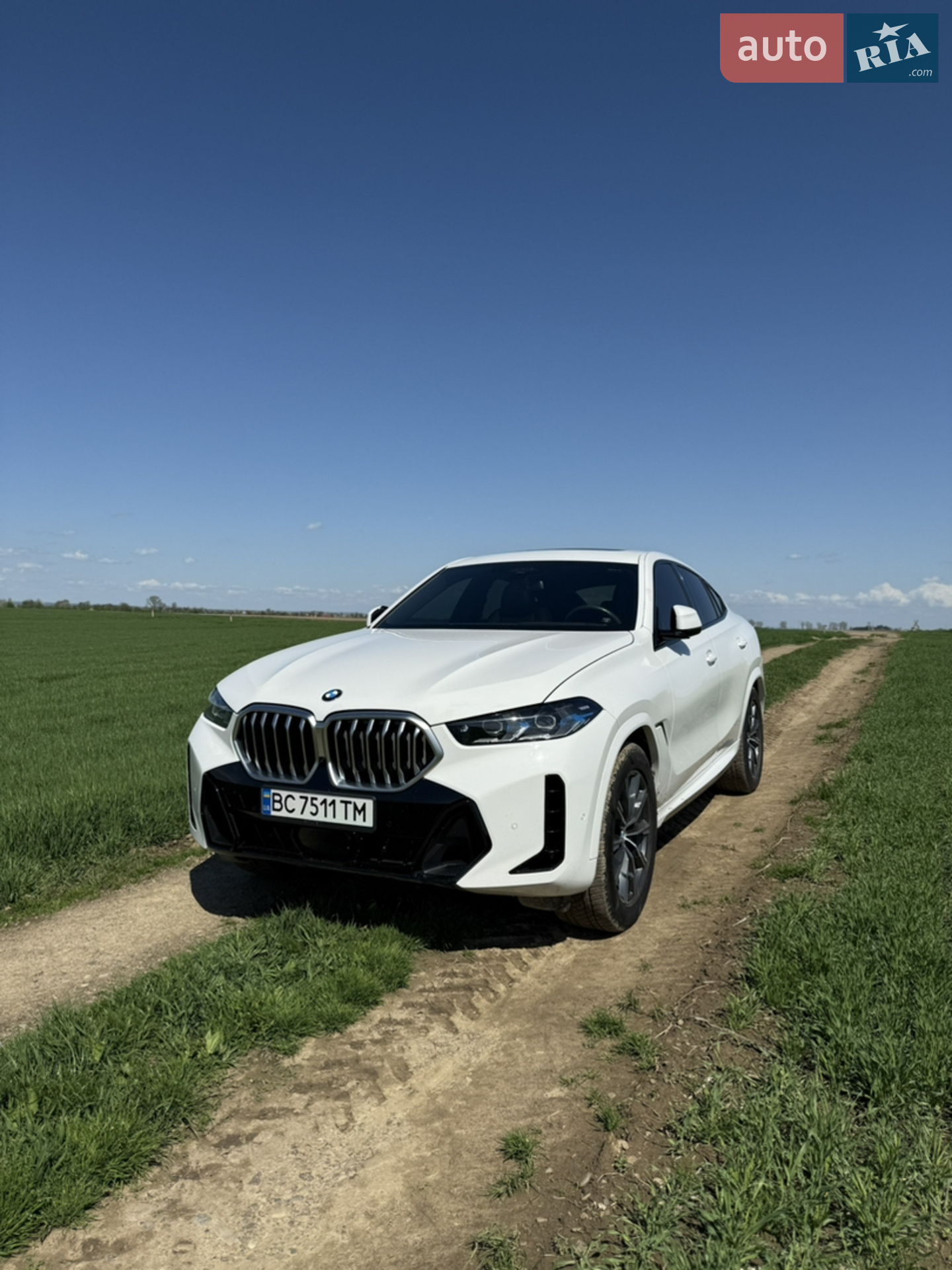 2023 BMW X6 - мініатюра 6