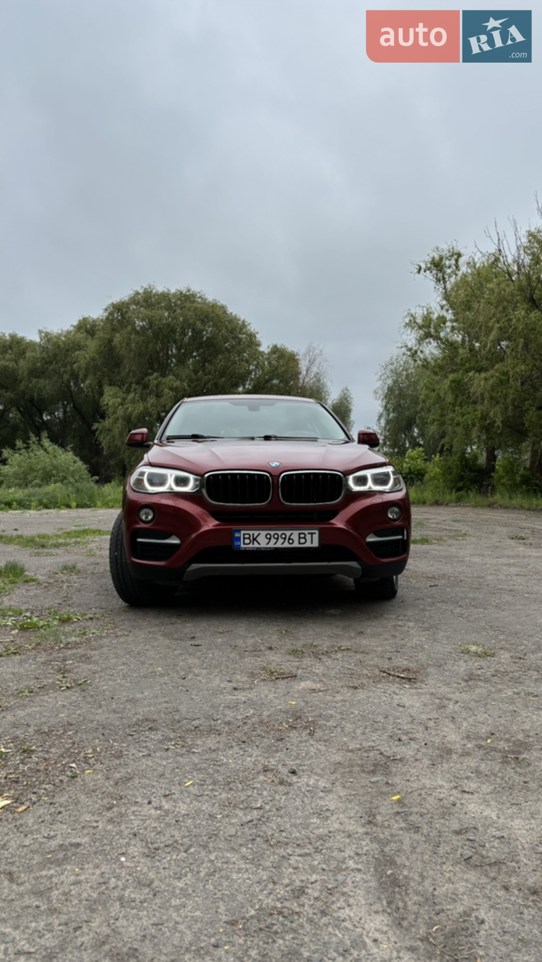 2016 BMW X6 - мініатюра 2