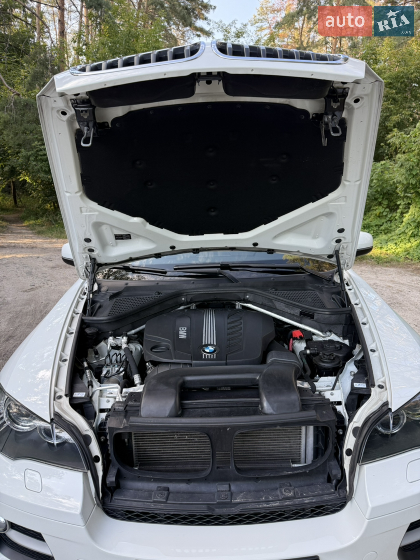 2013 BMW X6 - мініатюра 24