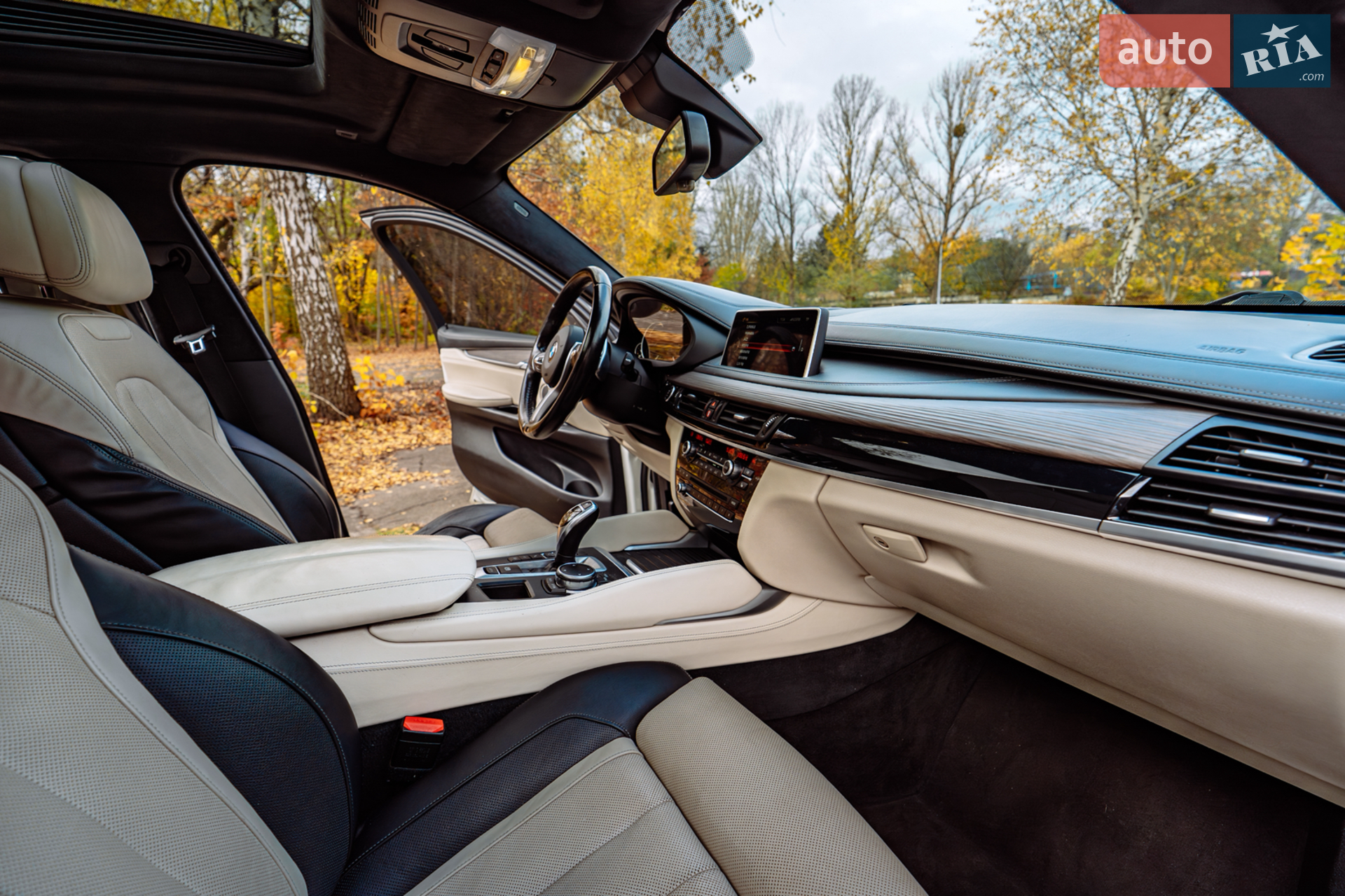 2015 BMW X6 - мініатюра 34