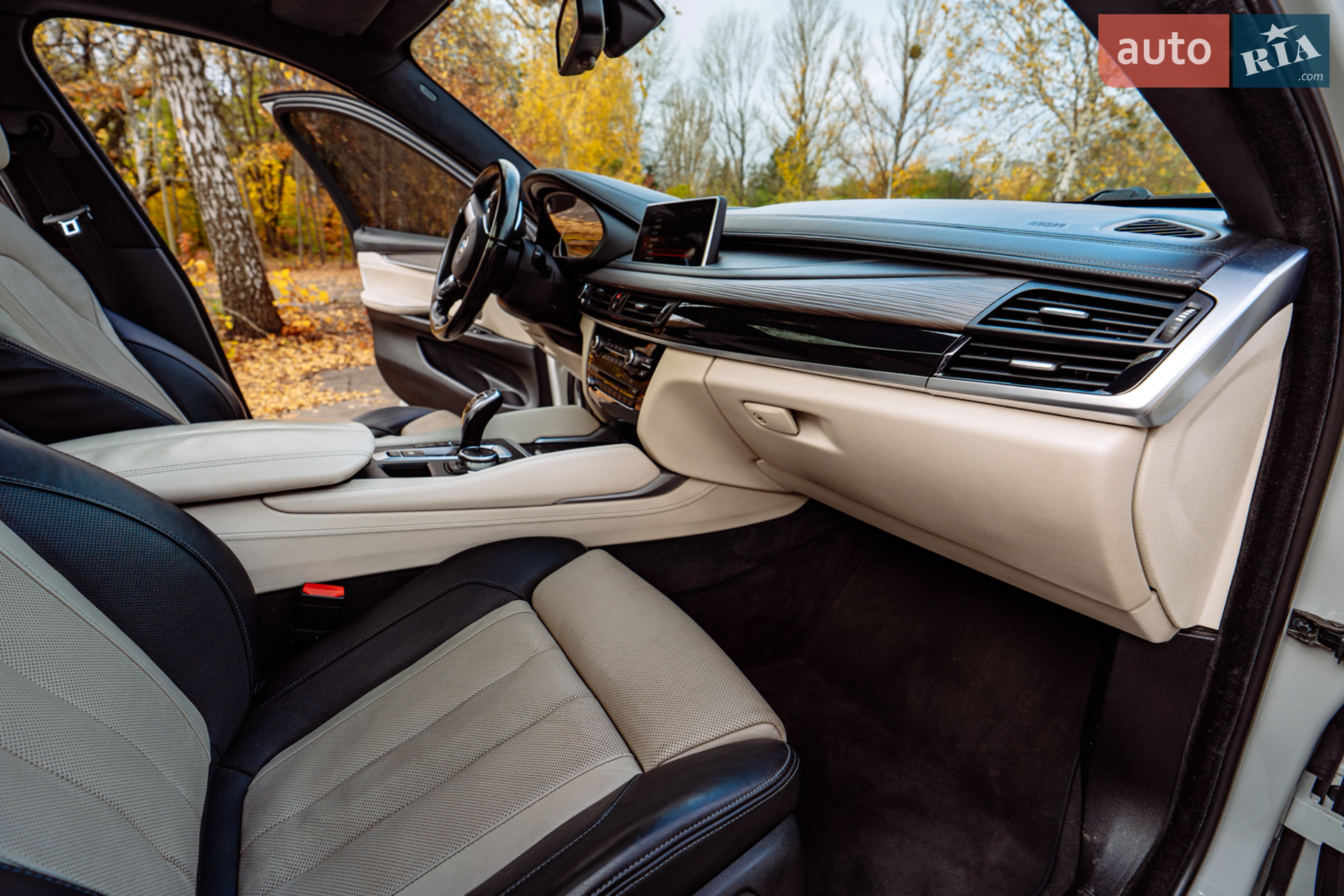 2015 BMW X6 - мініатюра 28