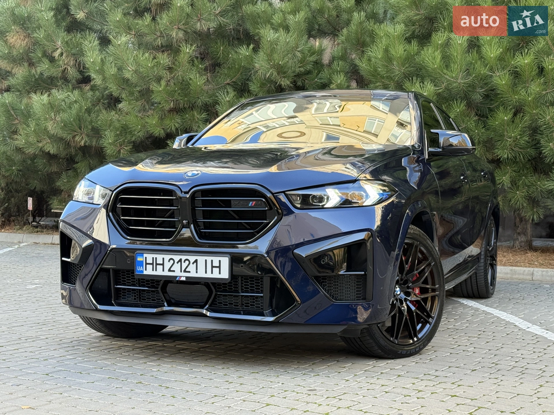 2020 BMW X6 - мініатюра 5