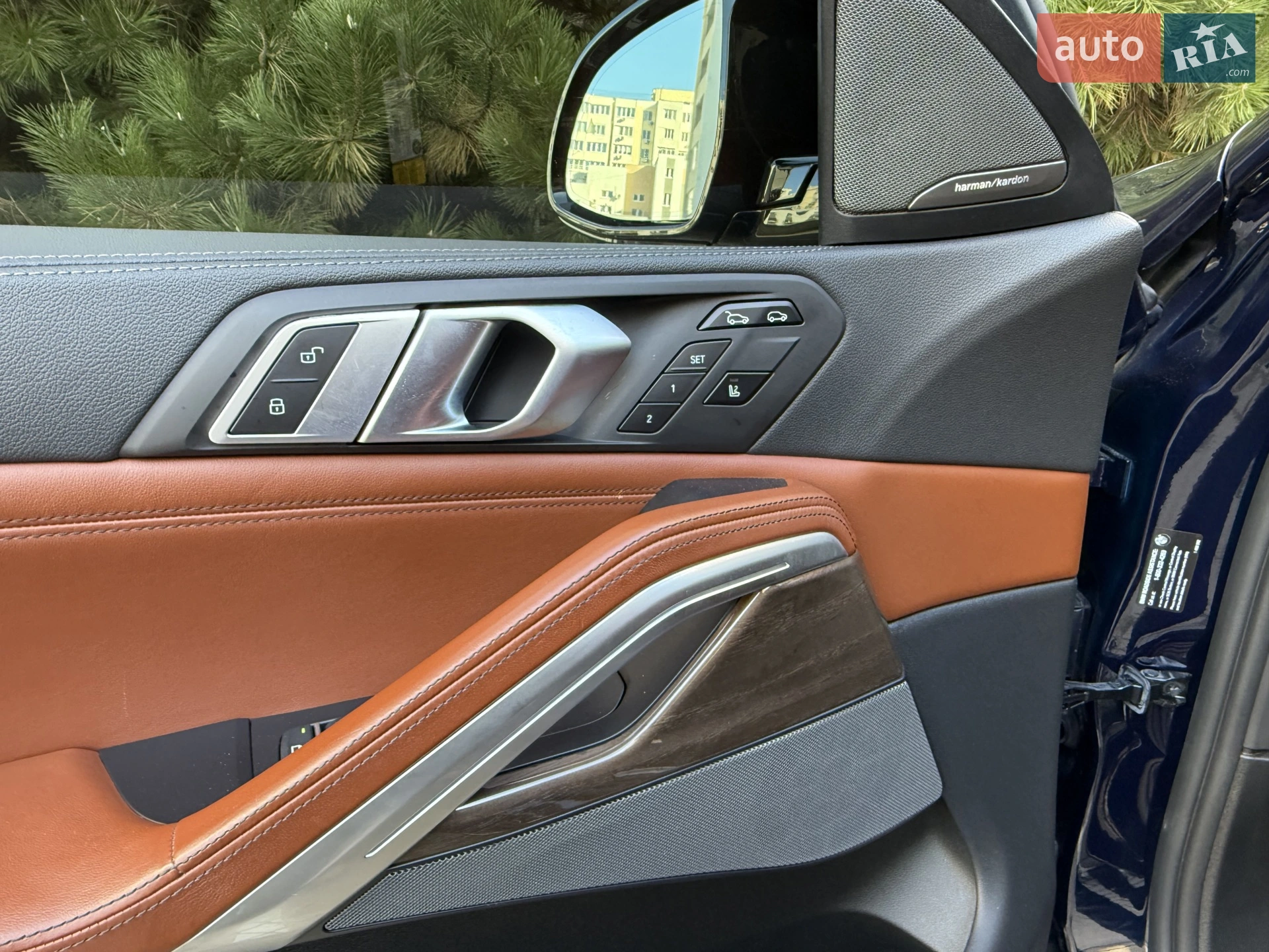 2020 BMW X6 - мініатюра 52