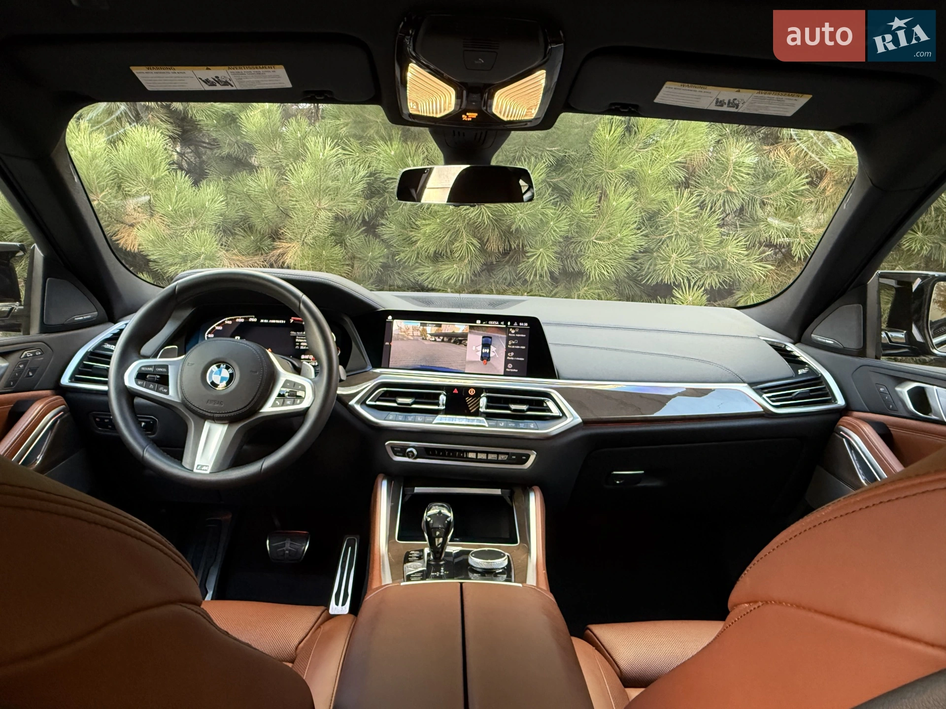 2020 BMW X6 - мініатюра 66