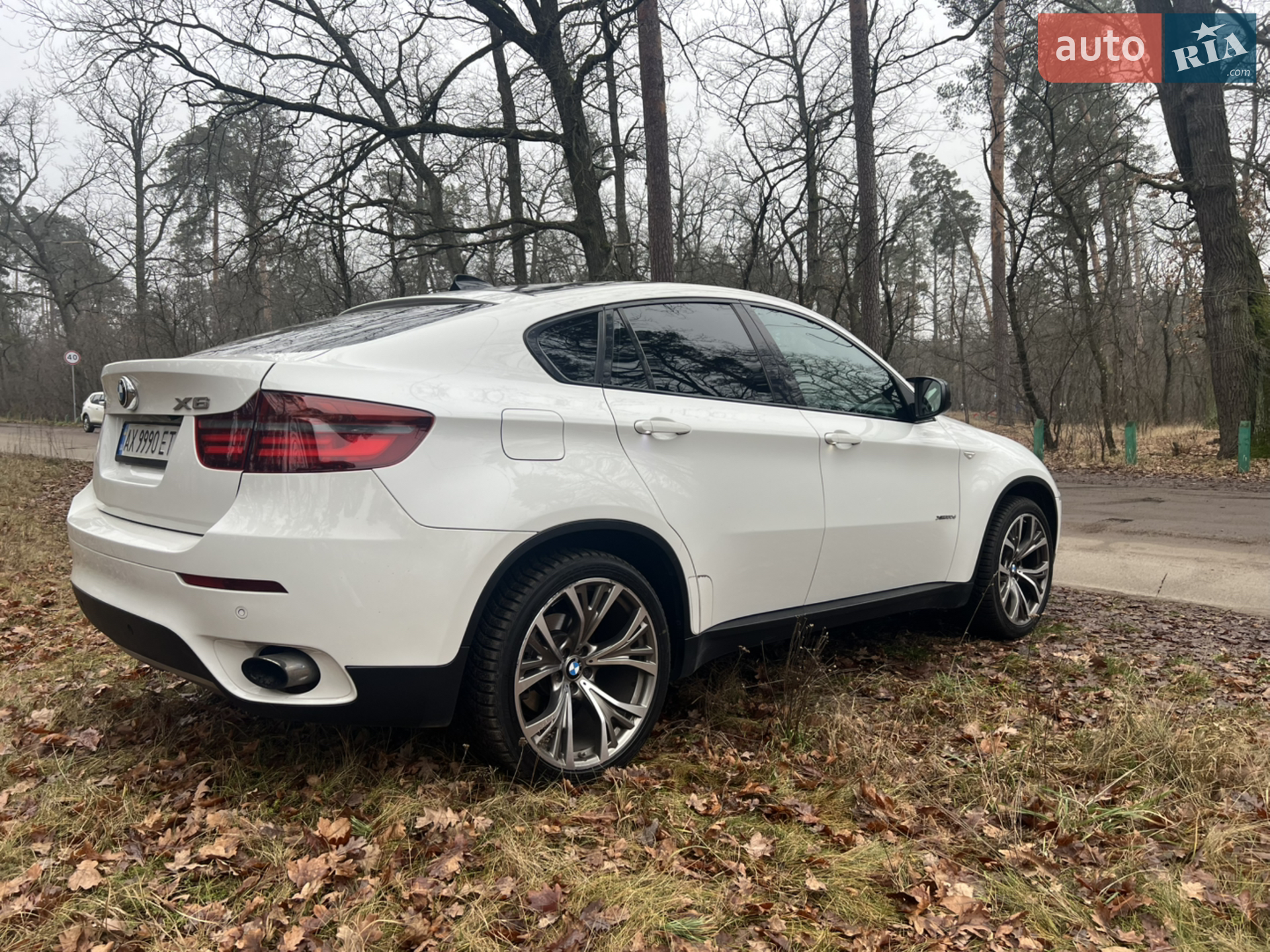 2011 BMW X6 - мініатюра 19