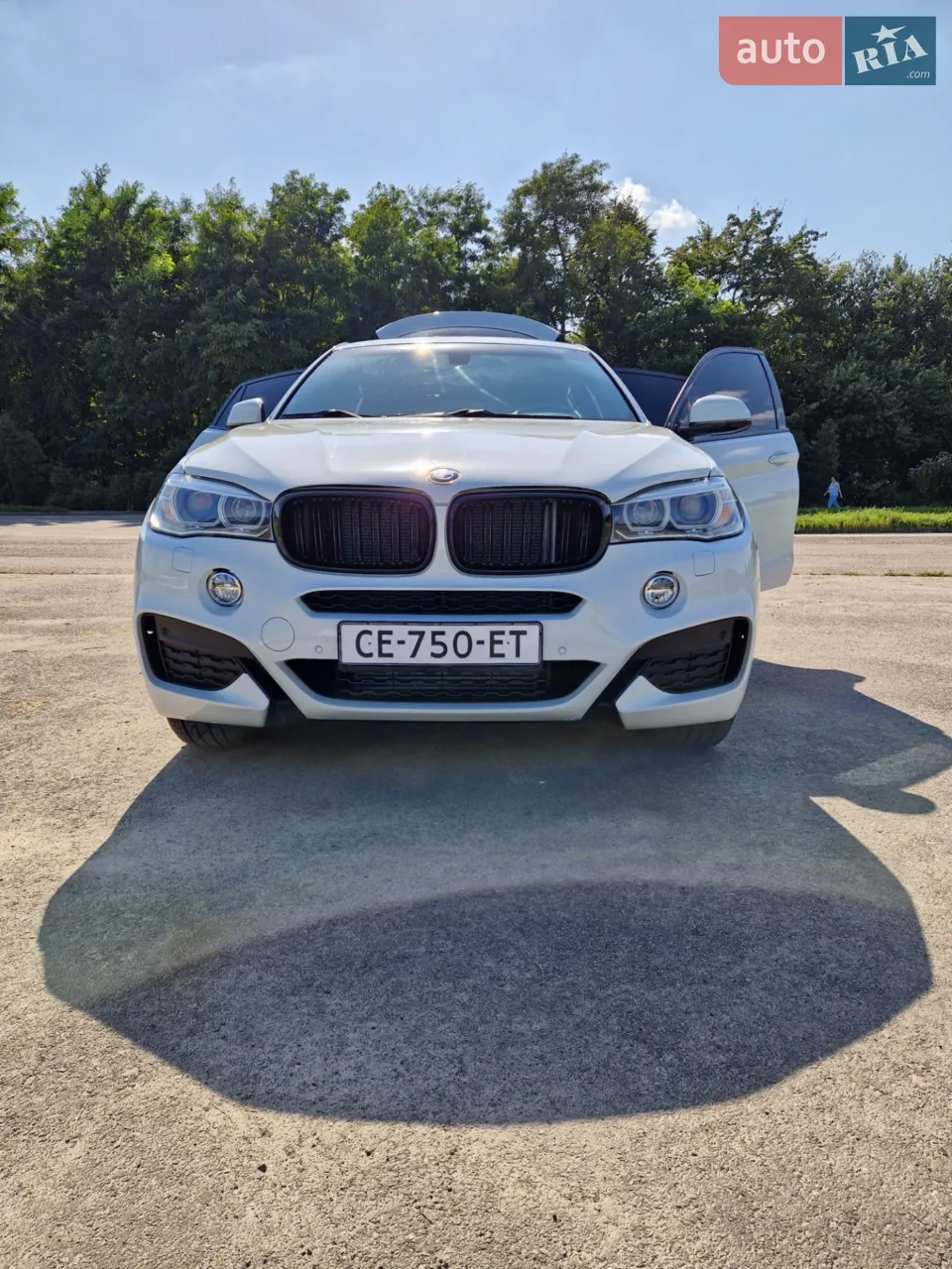 2013 BMW X6 - мініатюра 12