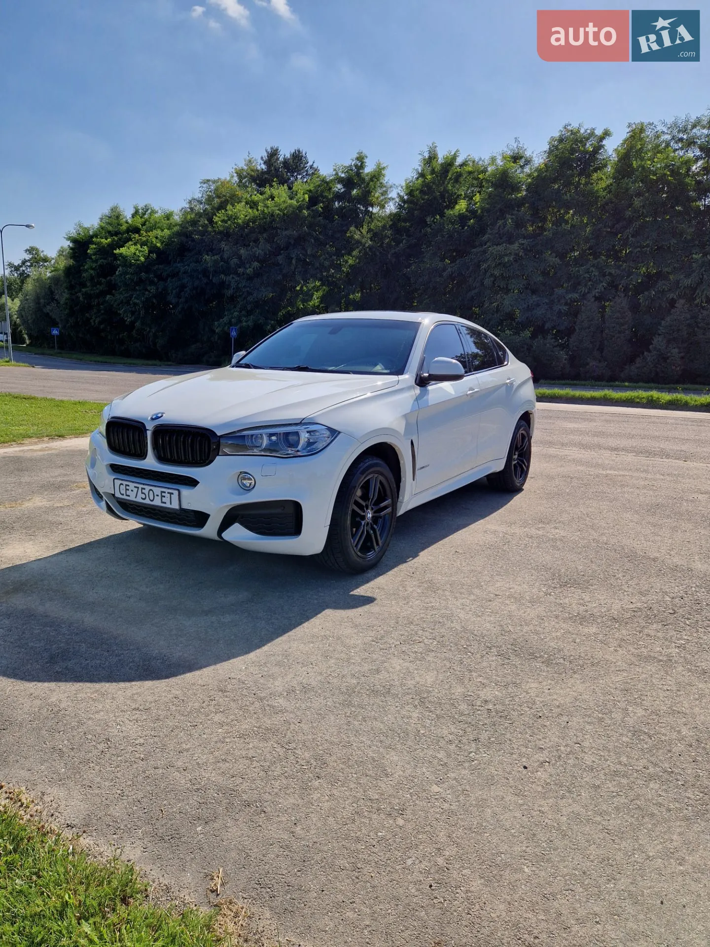 2014 BMW X6 - мініатюра 45
