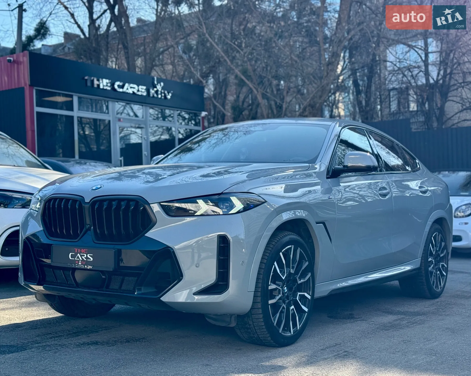 2023 BMW X6 - мініатюра 2