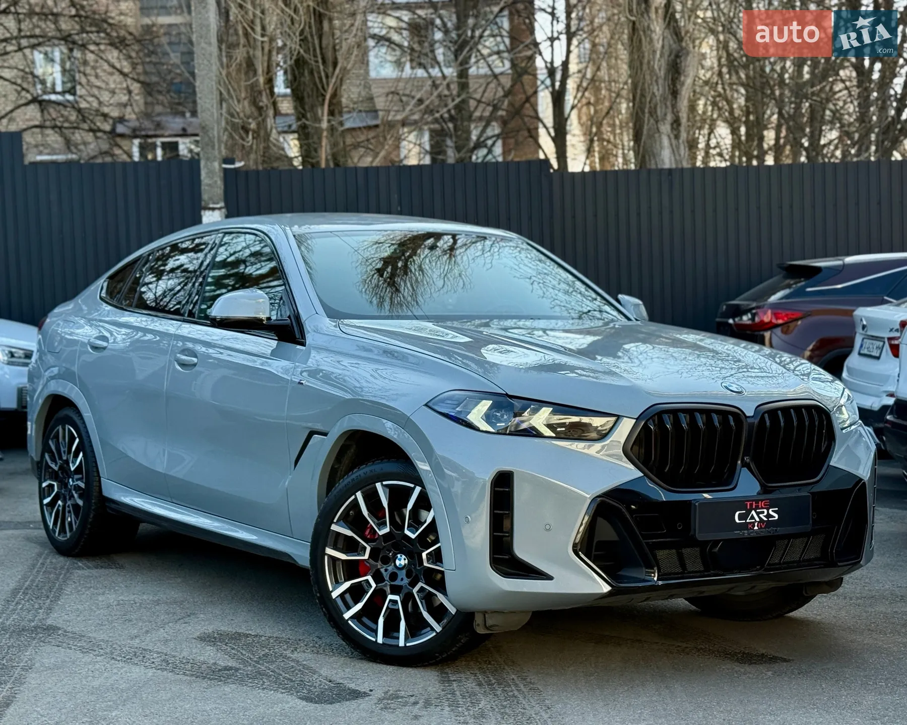 2023 BMW X6 - мініатюра 5