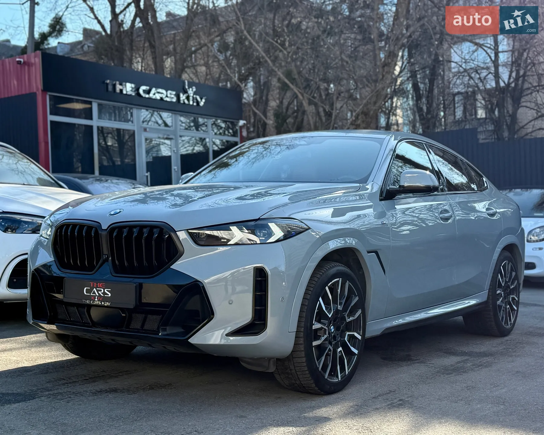 2023 BMW X6 - мініатюра 9