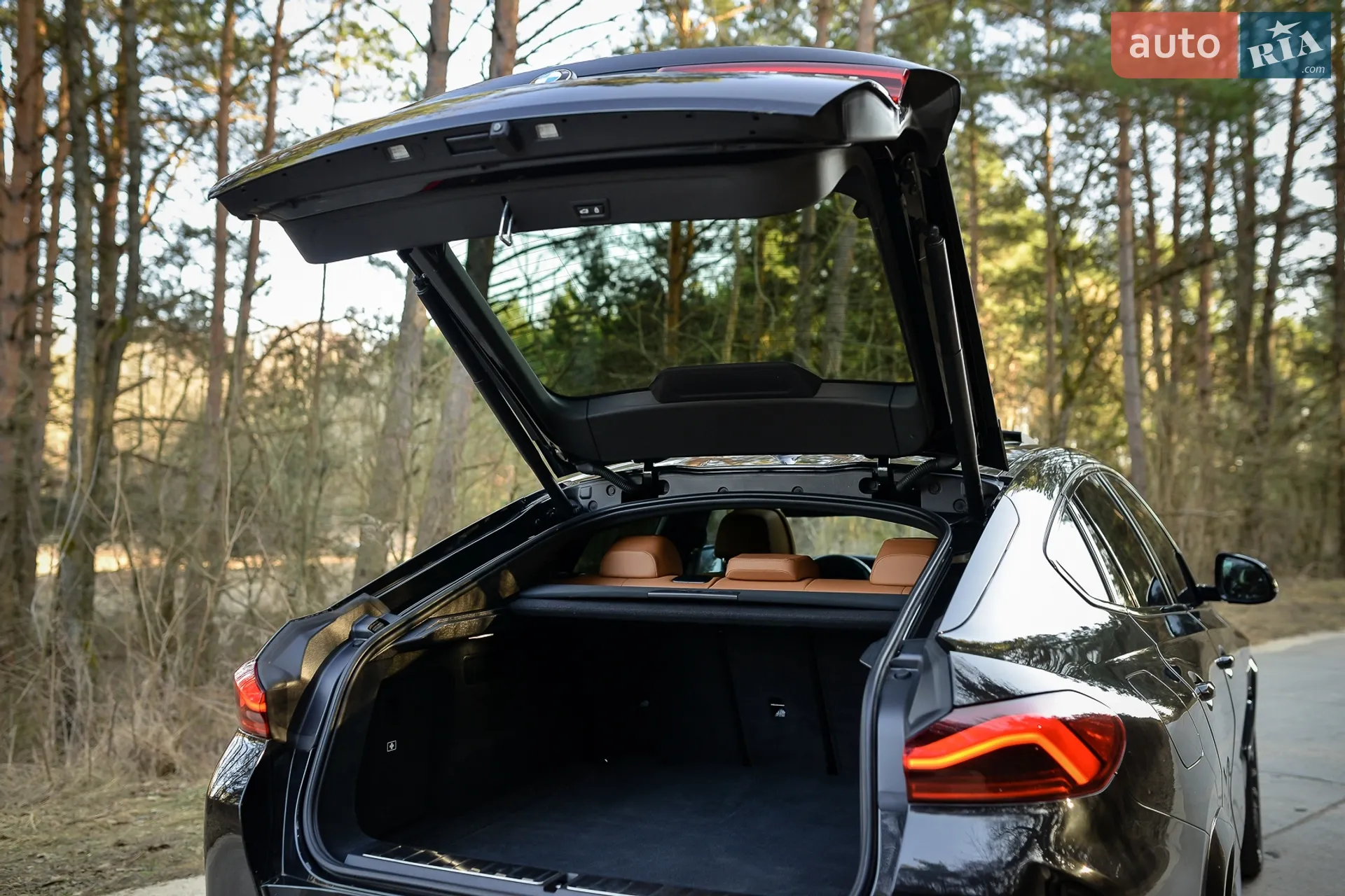 2022 BMW X6 - мініатюра 25