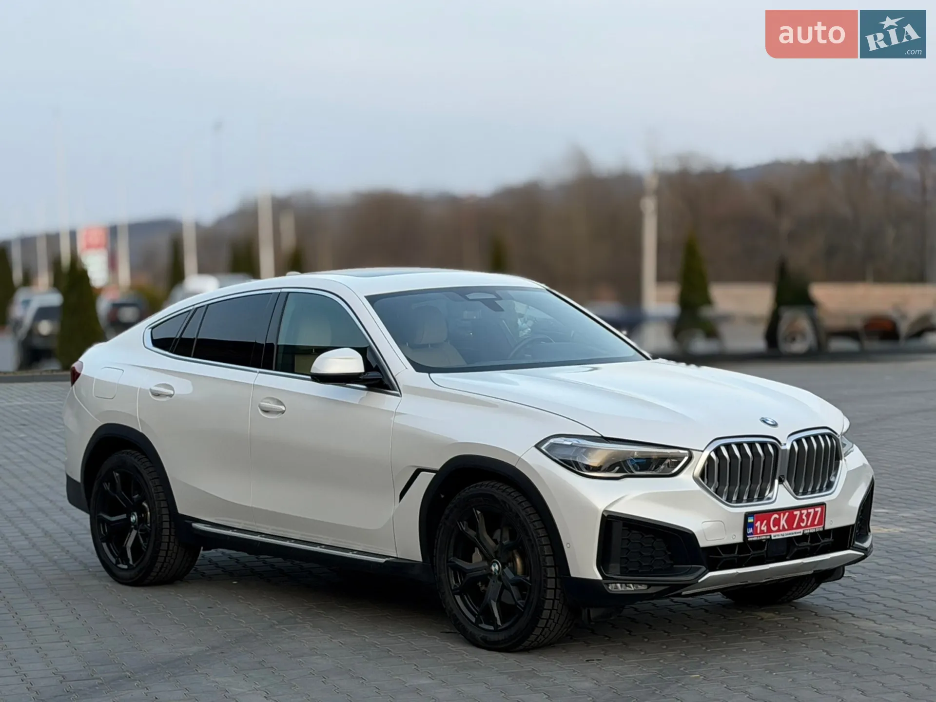 2020 BMW X6 - мініатюра 3