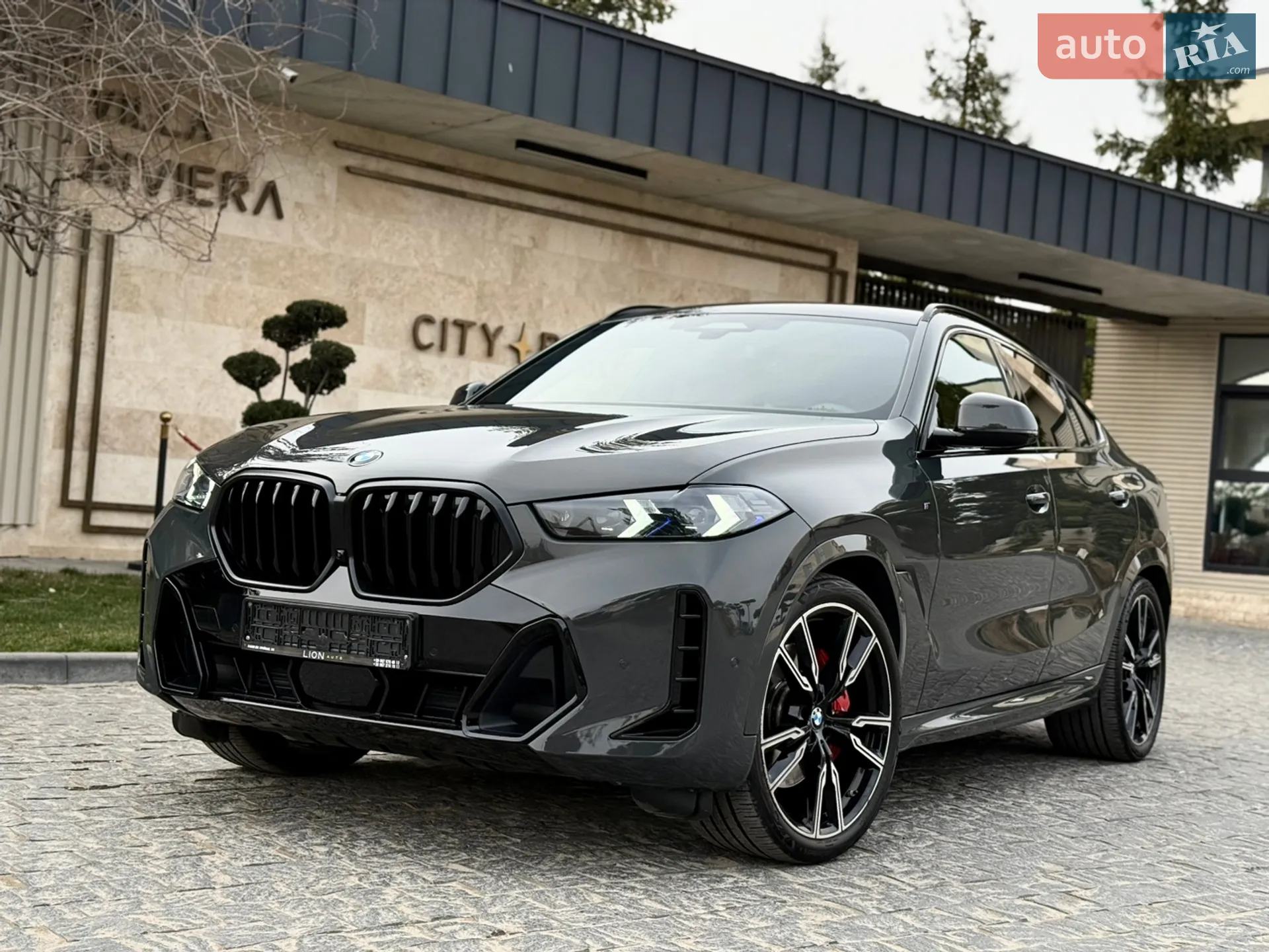 2023 BMW X6 - мініатюра 4