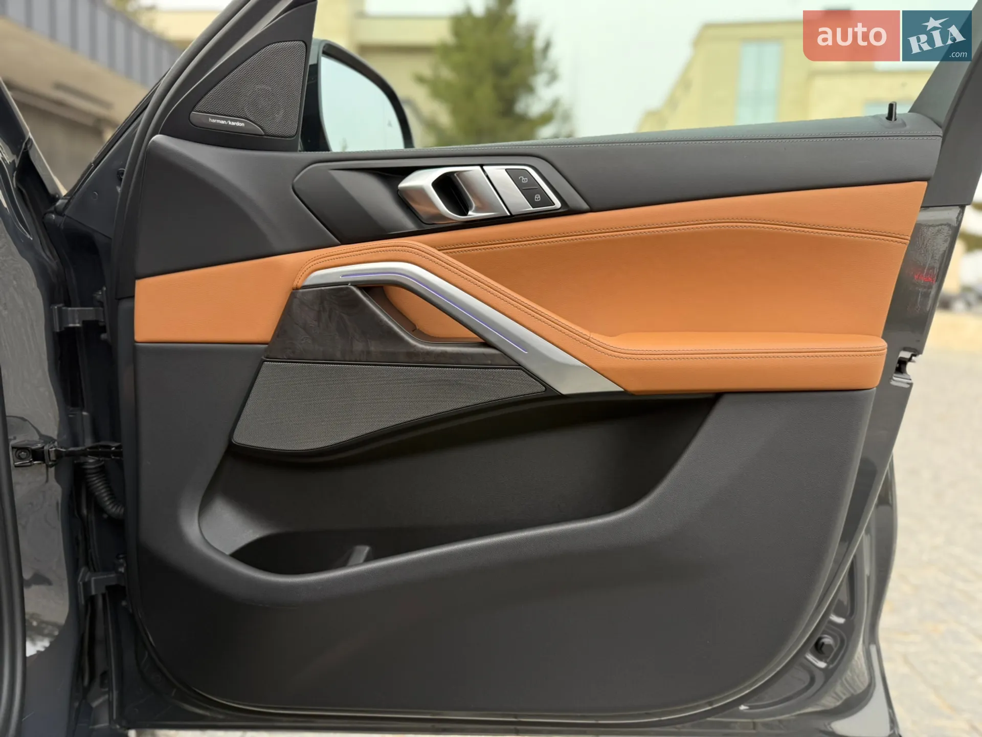 2023 BMW X6 - мініатюра 87