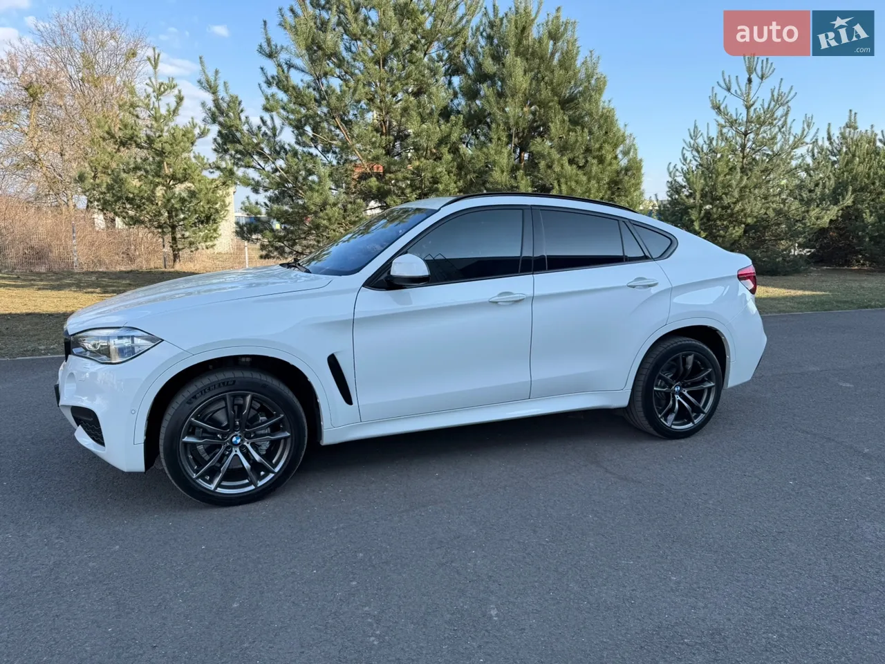 2019 BMW X6 - мініатюра 14