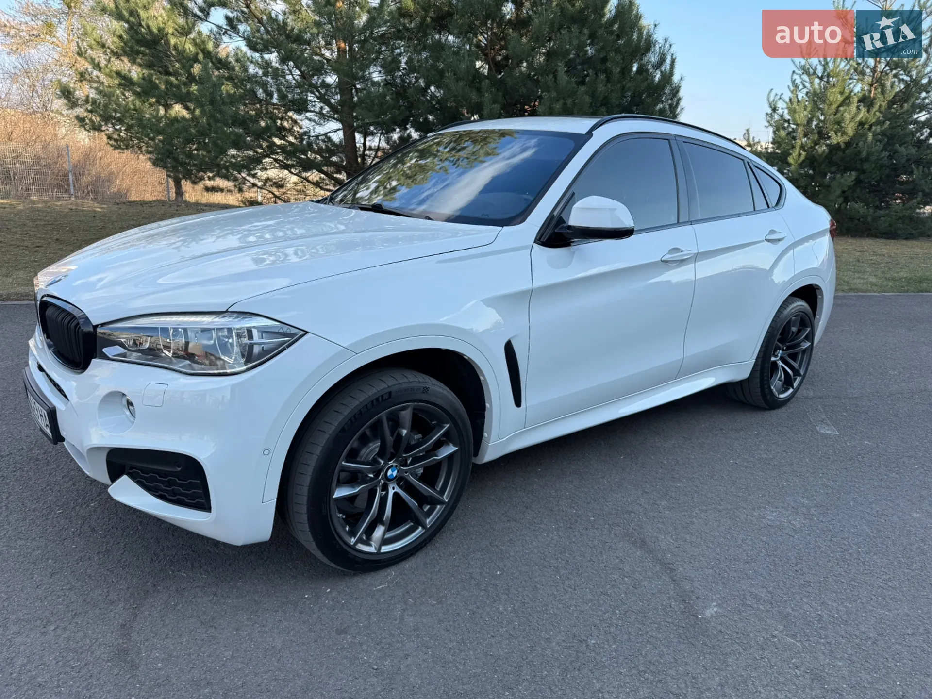 2018 BMW X6 - мініатюра 5