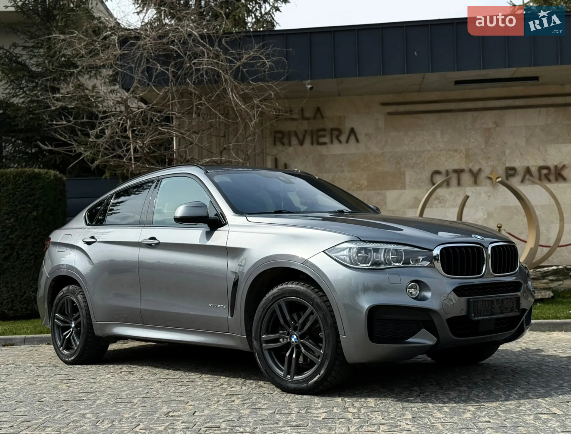 2018 BMW X6 - мініатюра 2