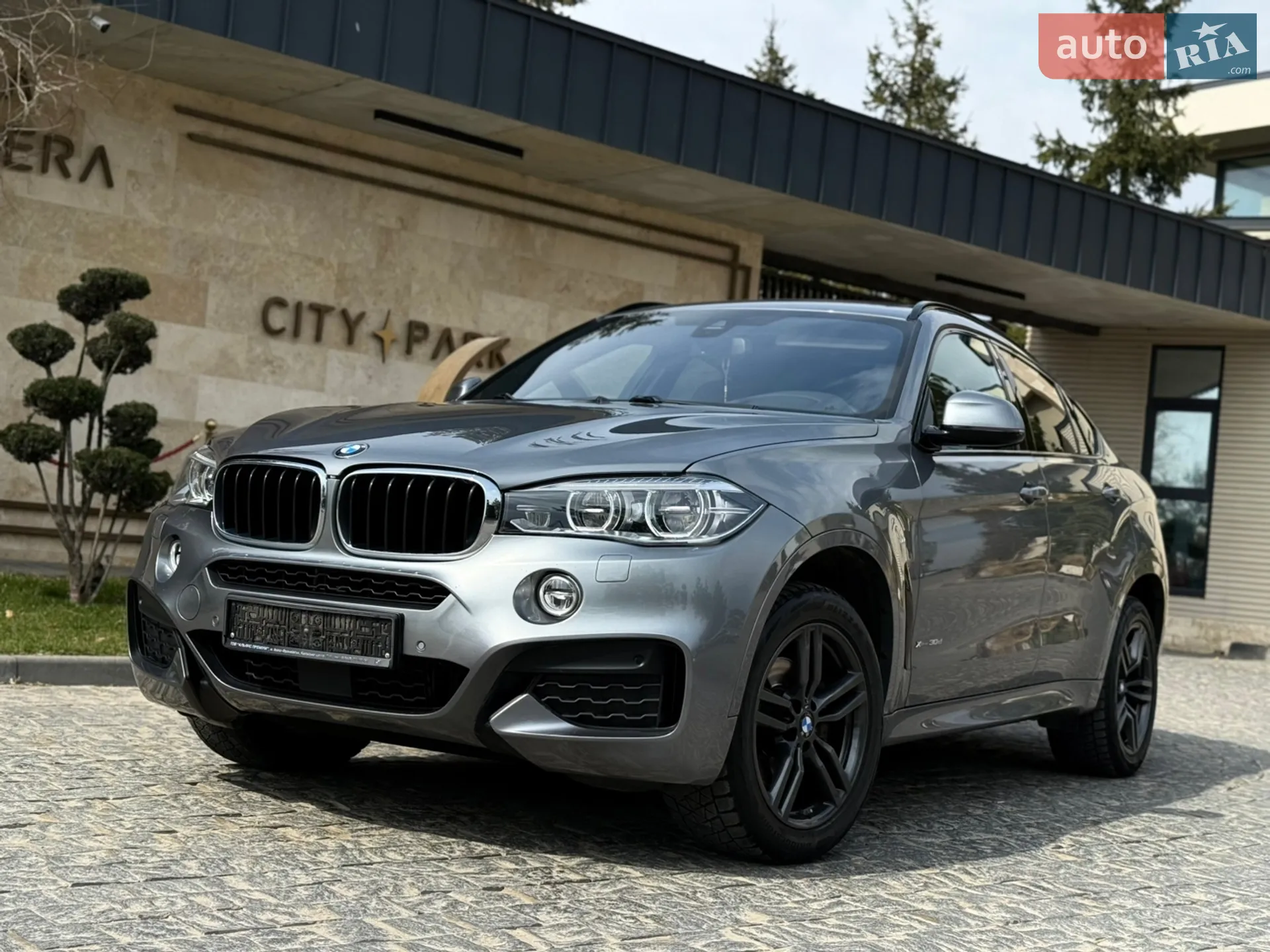 2018 BMW X6 - мініатюра 4