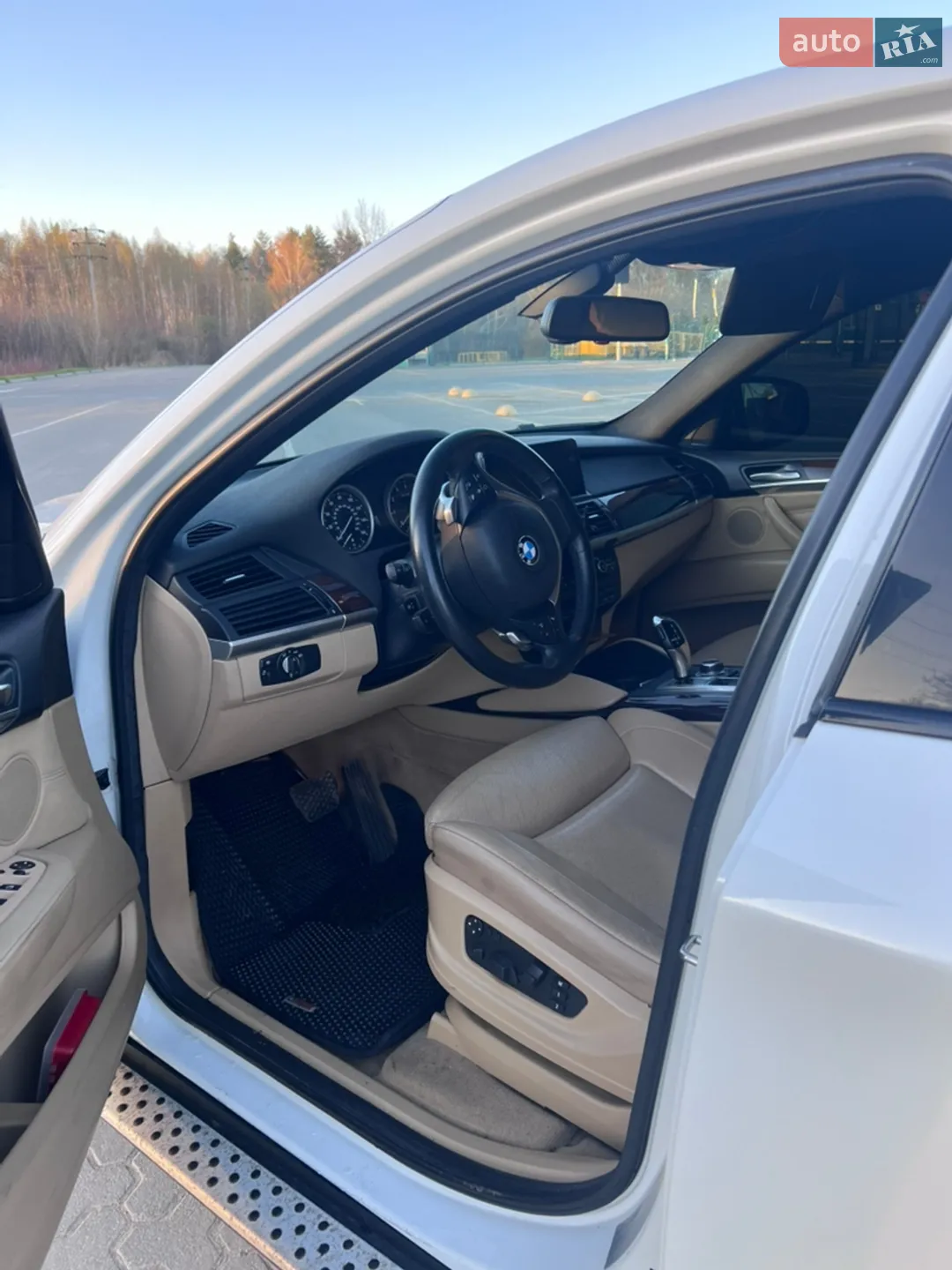 2010 BMW X6 - мініатюра 5