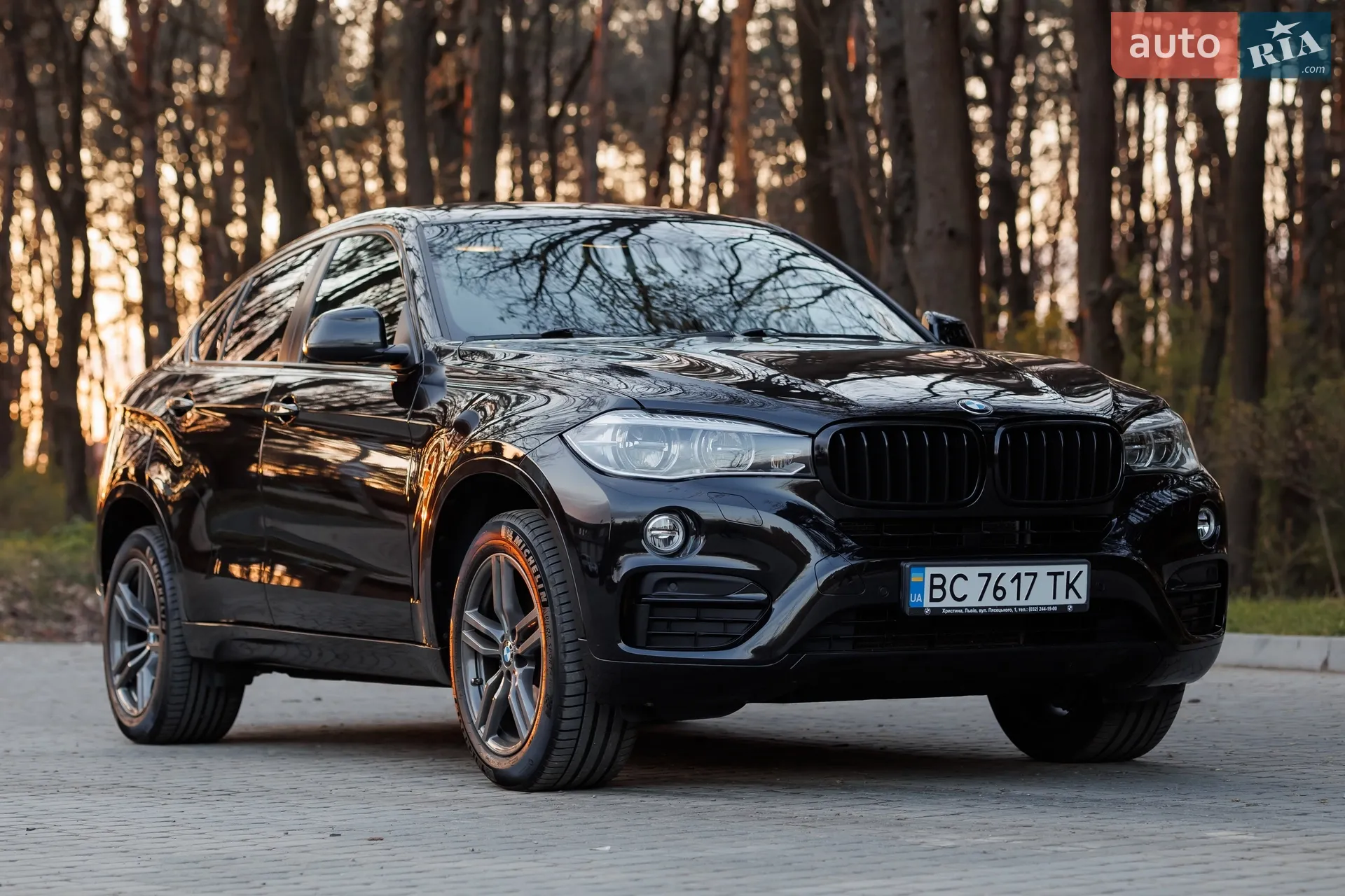 2017 BMW X6 - мініатюра 6