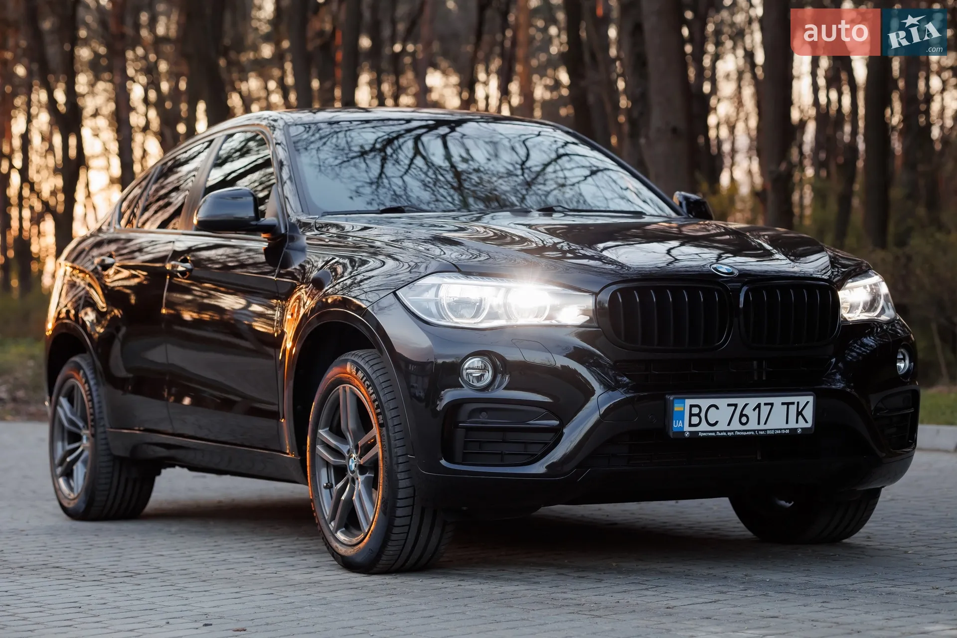 2017 BMW X6 - мініатюра 7