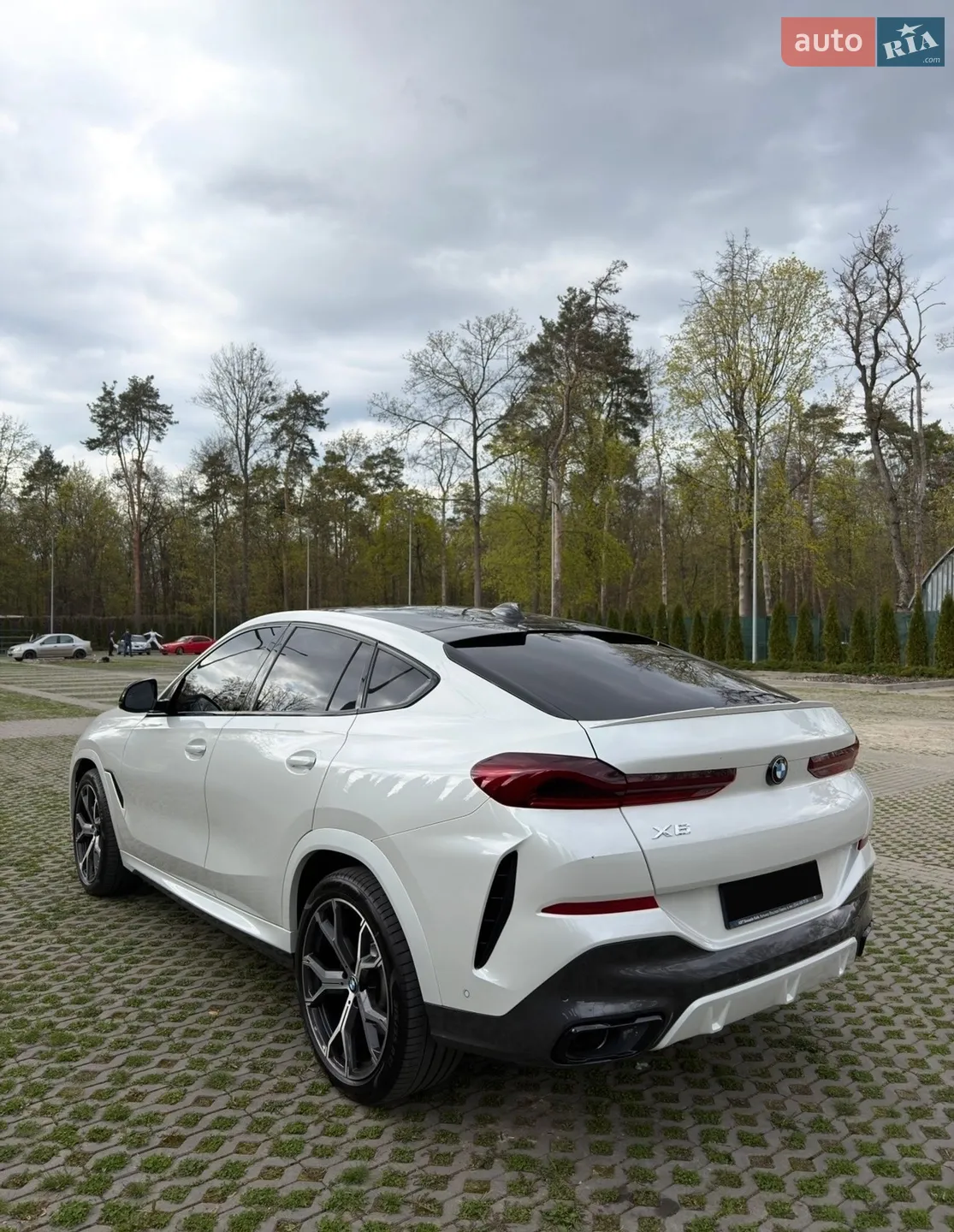 2021 BMW X6 - мініатюра 17
