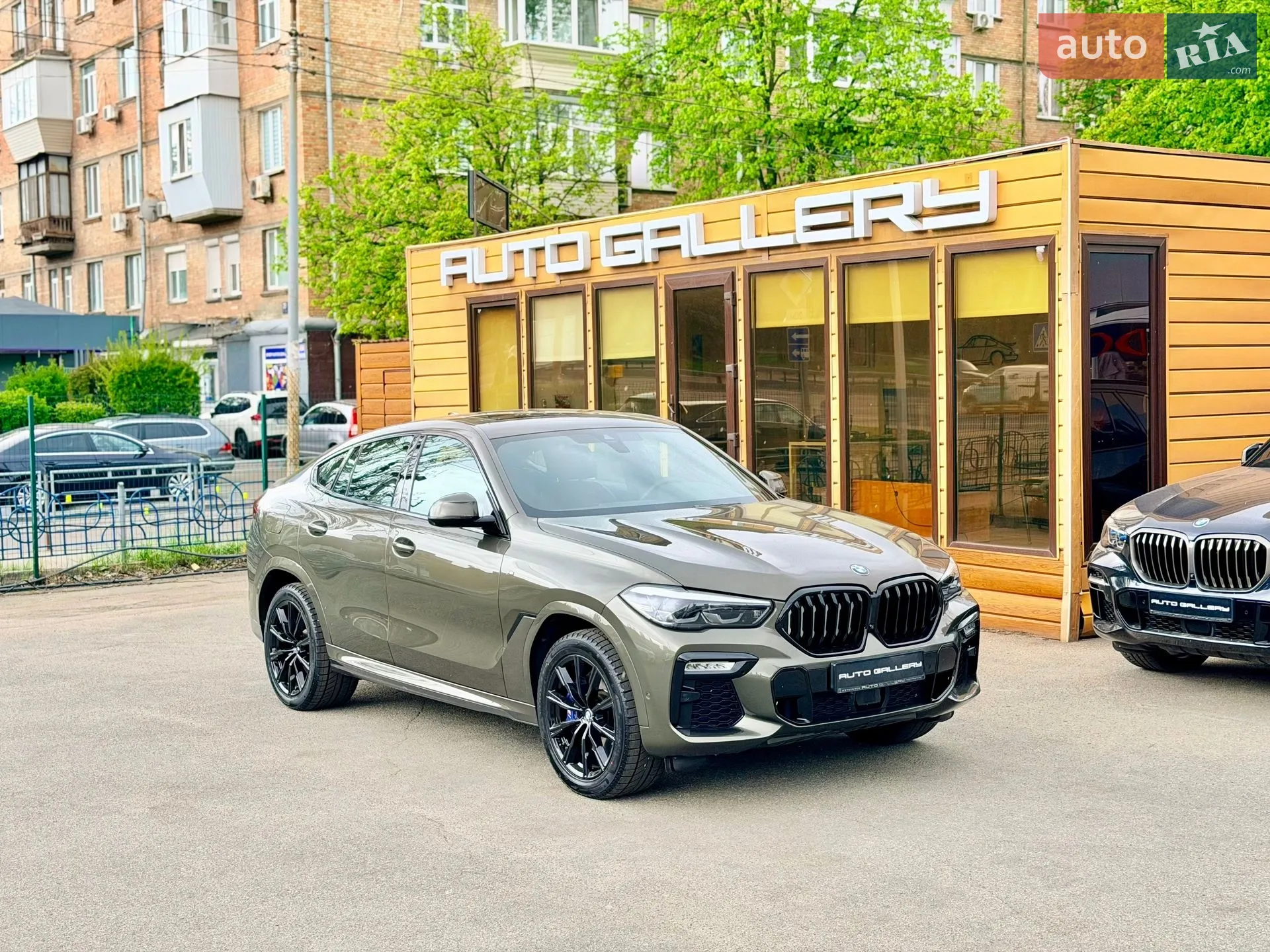 2020 BMW X6 - мініатюра 12