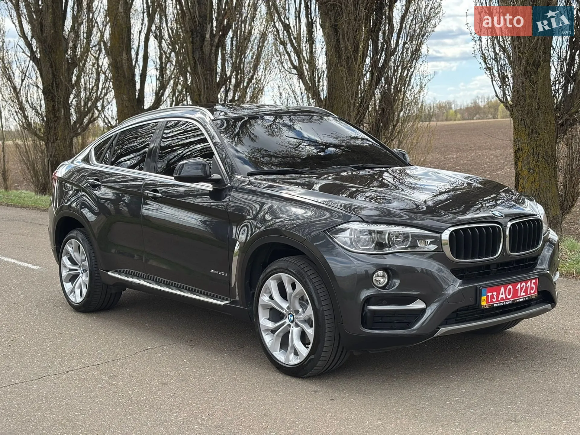 2018 BMW X6 - мініатюра 4