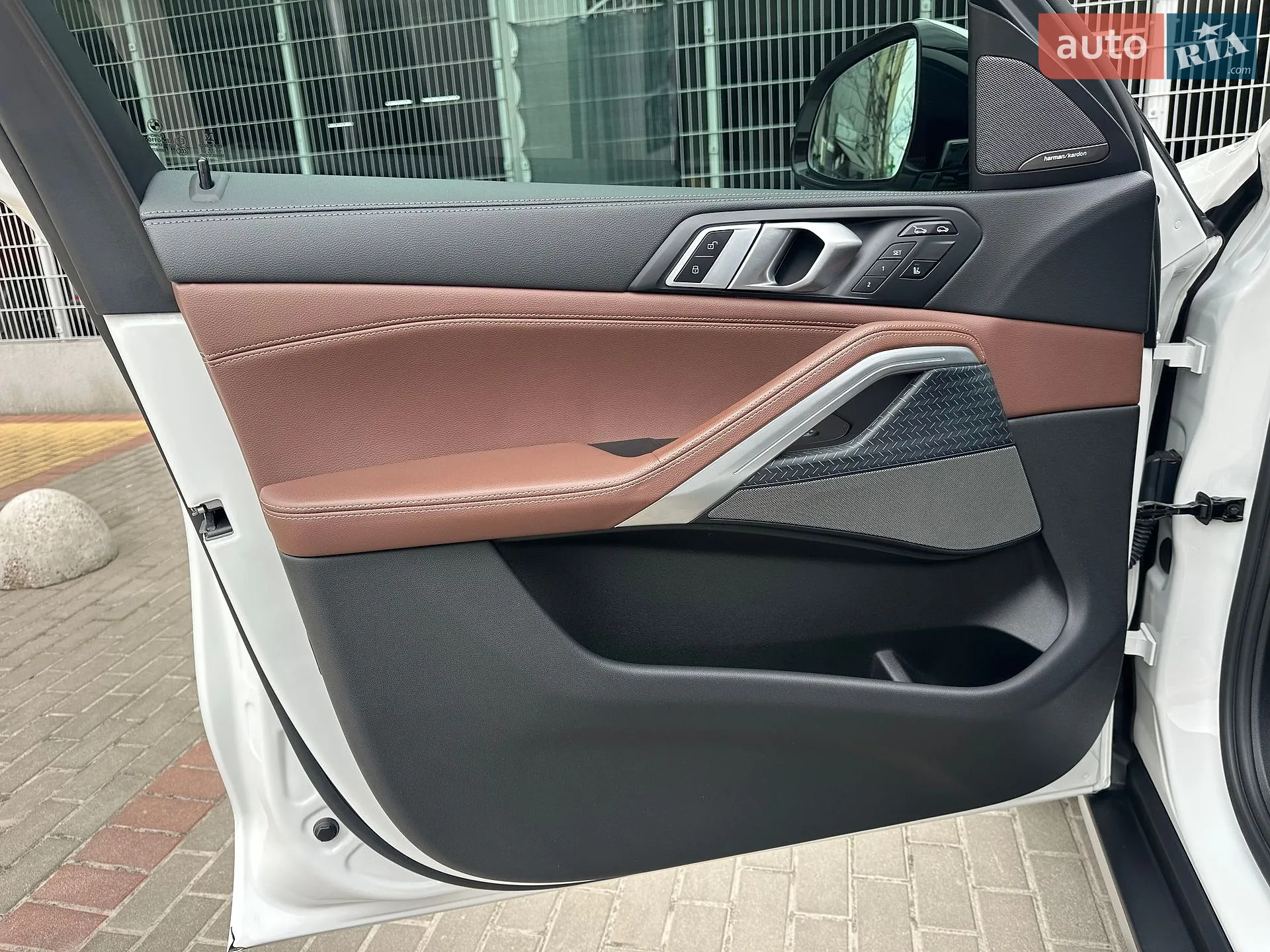 2019 BMW X6 - мініатюра 47