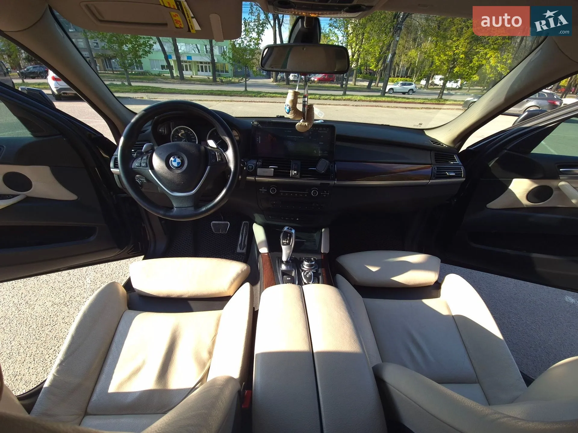 2010 BMW X6 - мініатюра 21