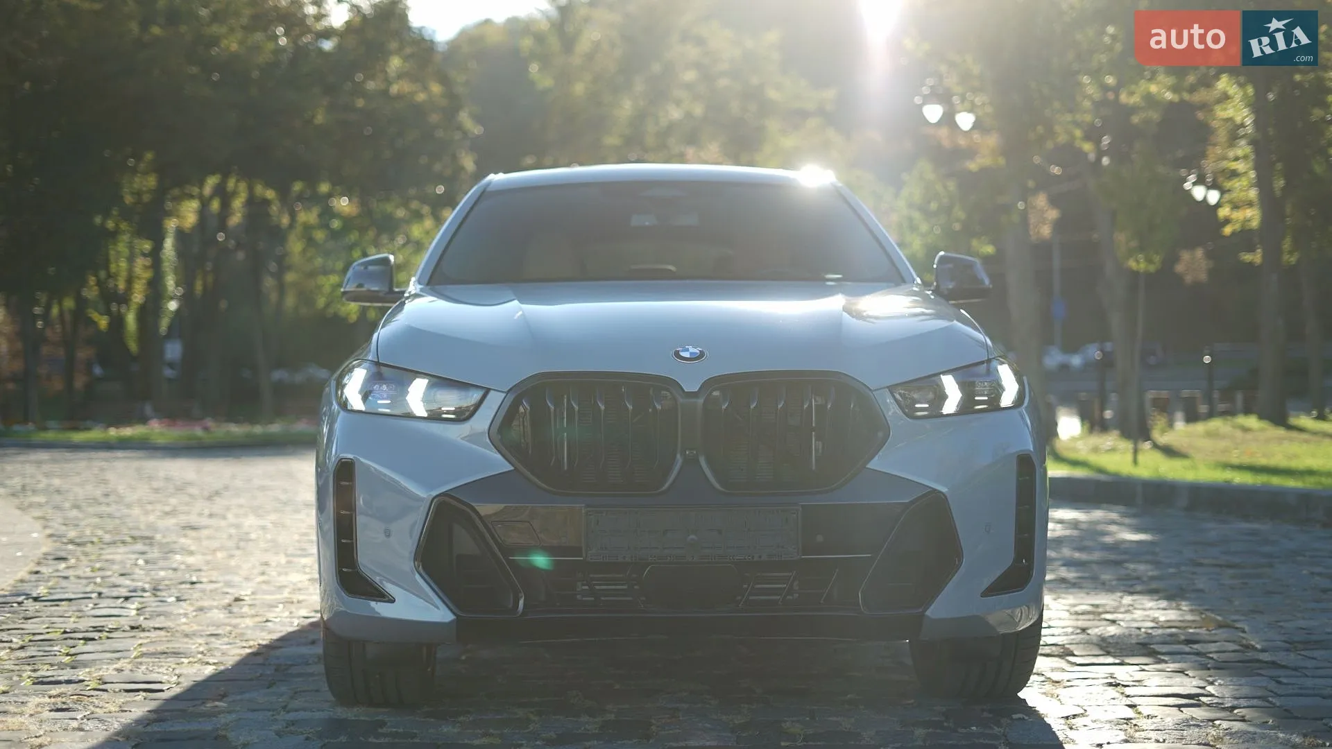 2023 BMW X6 - мініатюра 35