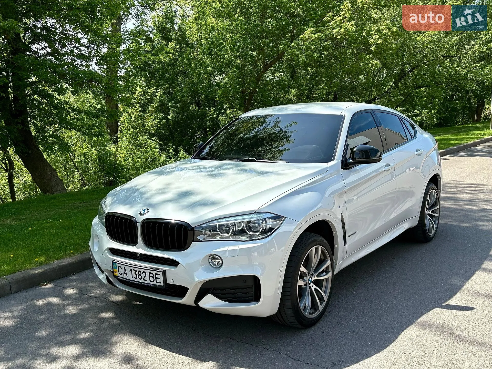 2019 BMW X6 - мініатюра 18