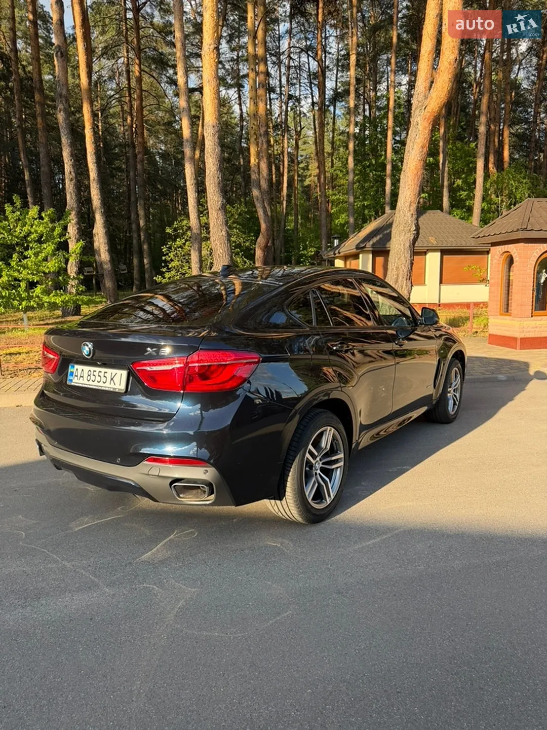 2016 BMW X6 - мініатюра 3