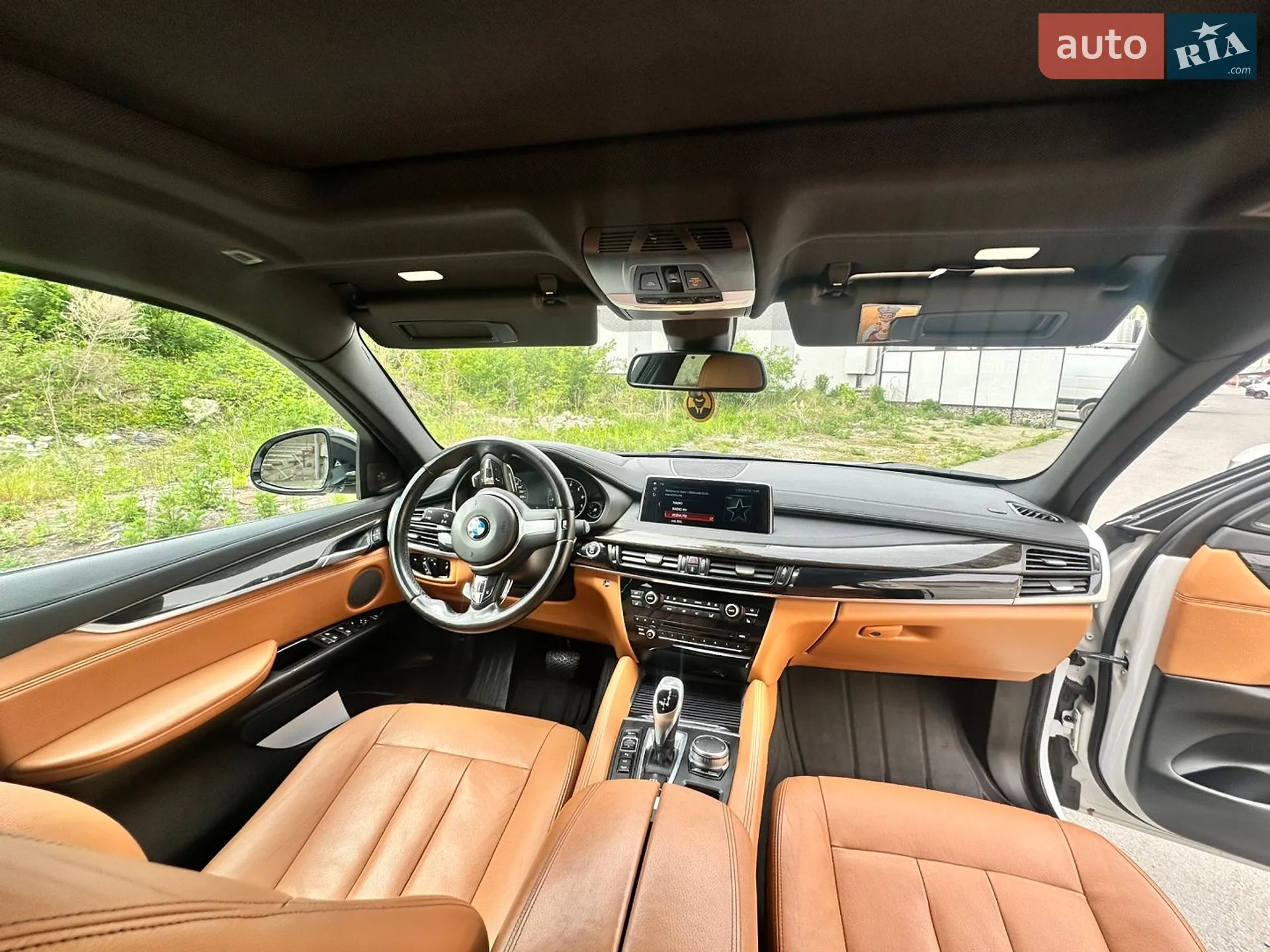 2017 BMW X6 - мініатюра 17