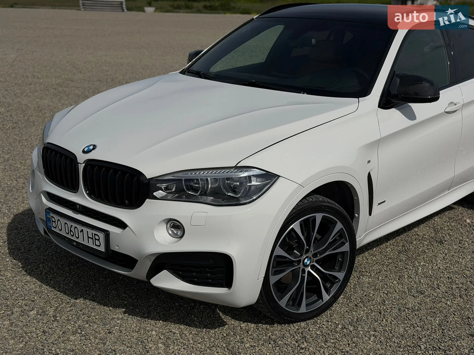 2017 BMW X6 - мініатюра 5