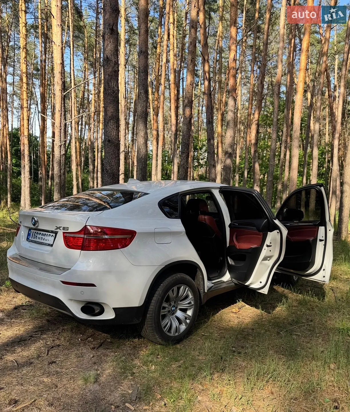 2011 BMW X6 - мініатюра 5
