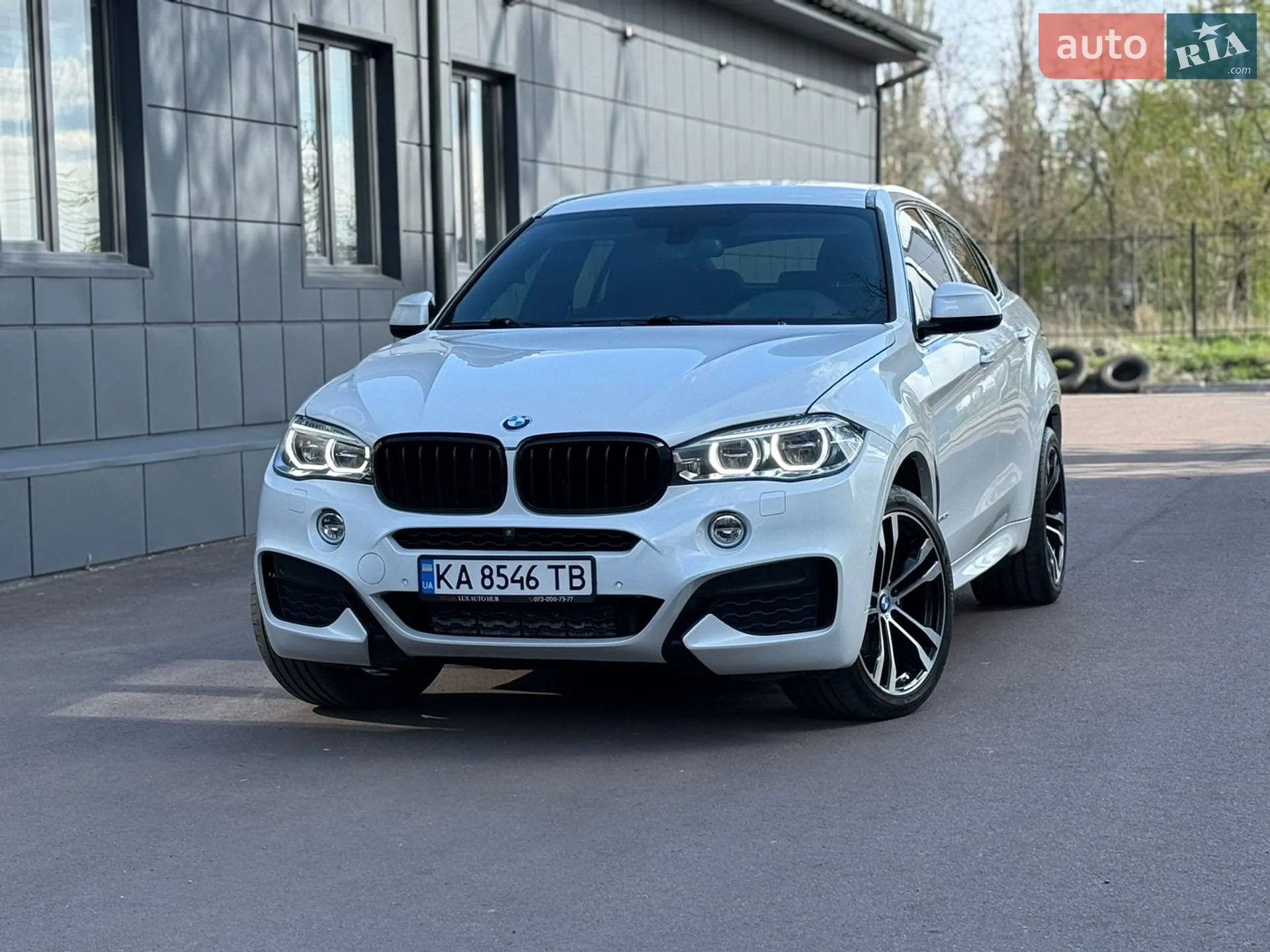 2018 BMW X6 - мініатюра 7