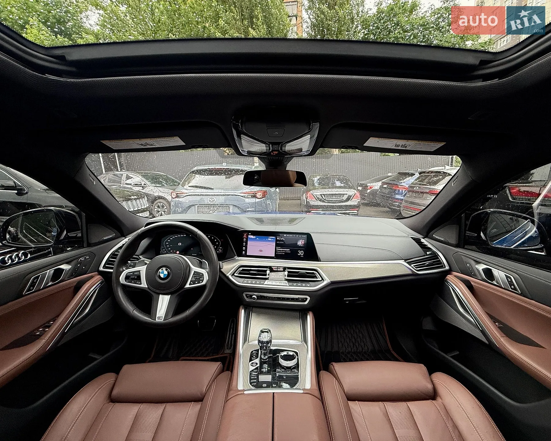 2019 BMW X6 - мініатюра 28
