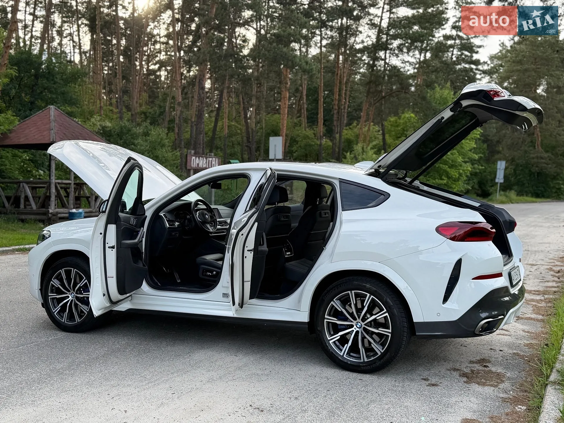2021 BMW X6 - мініатюра 28