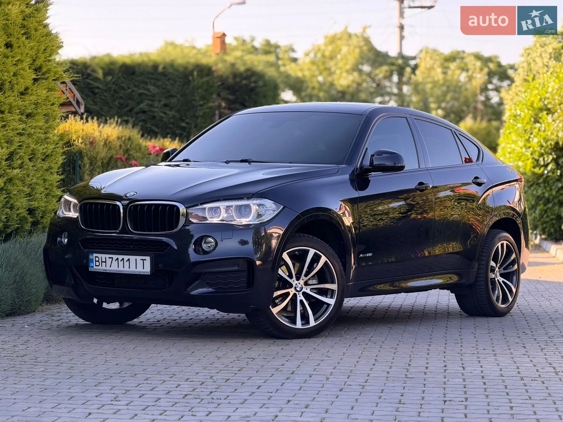 2016 BMW X6 - мініатюра 8