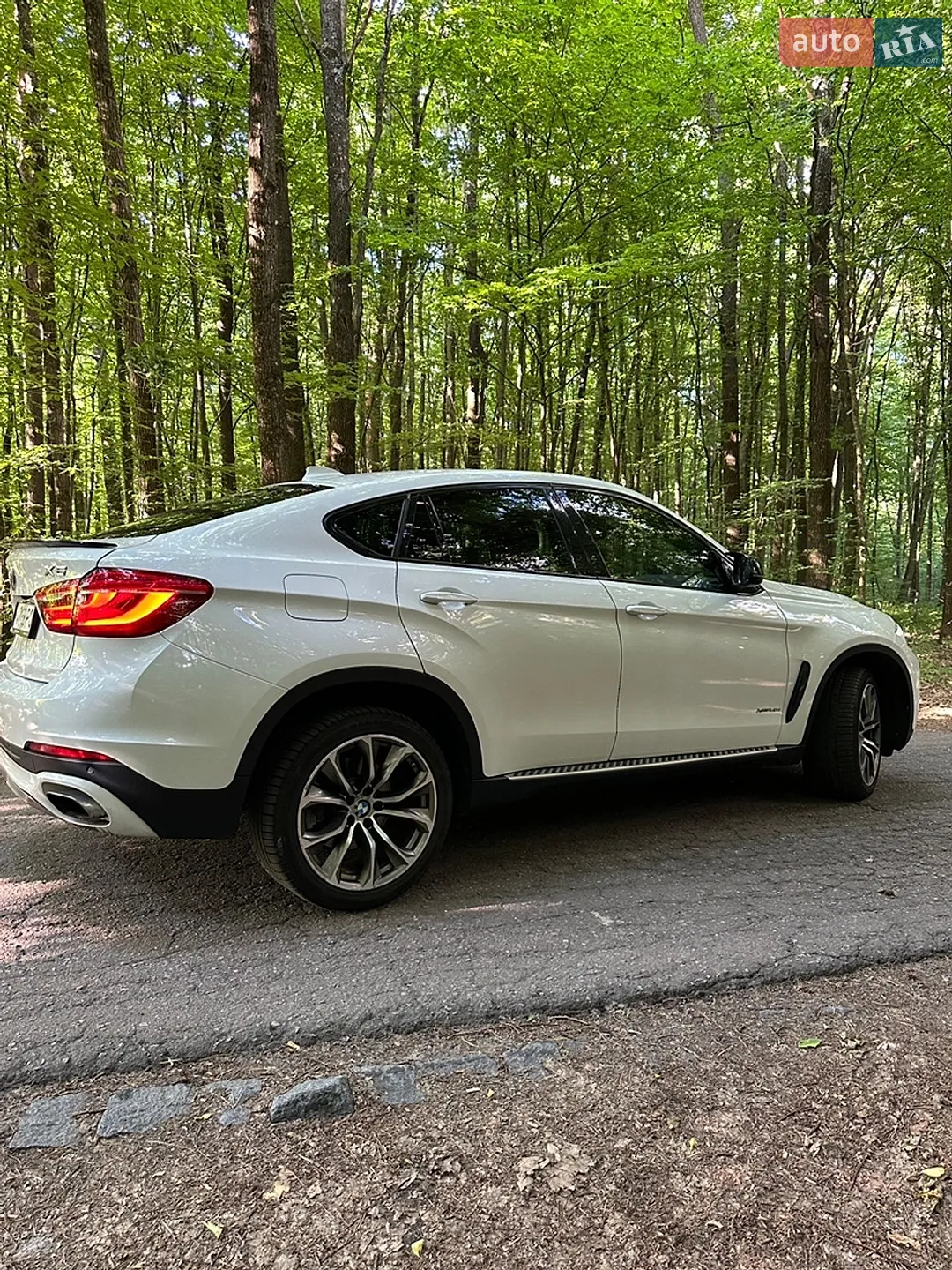 2014 BMW X6 - мініатюра 5
