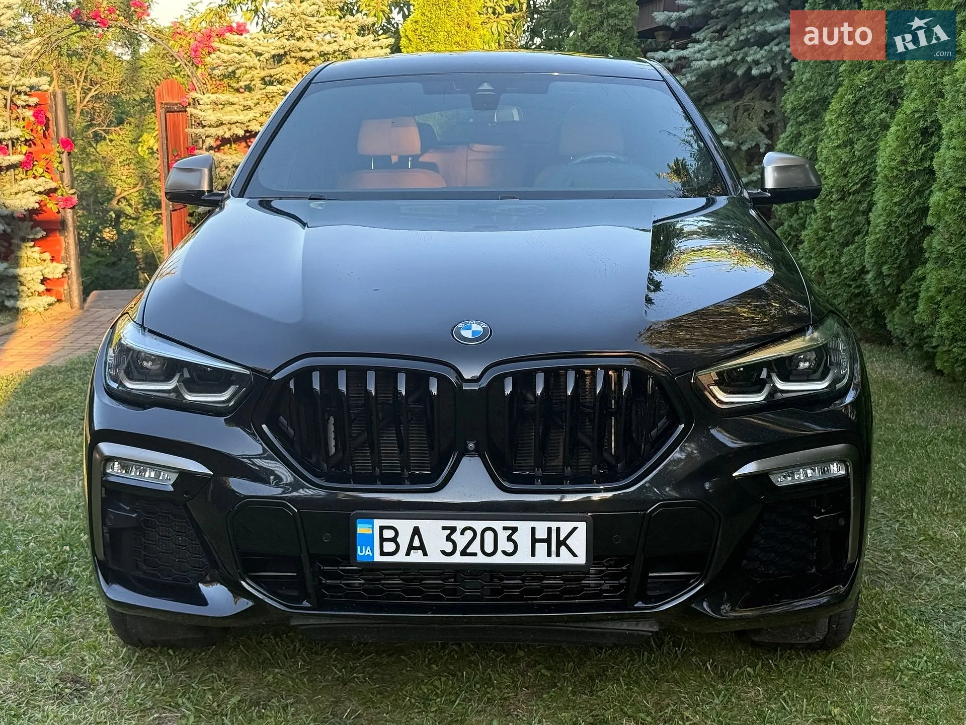 2020 BMW X6 - мініатюра 3