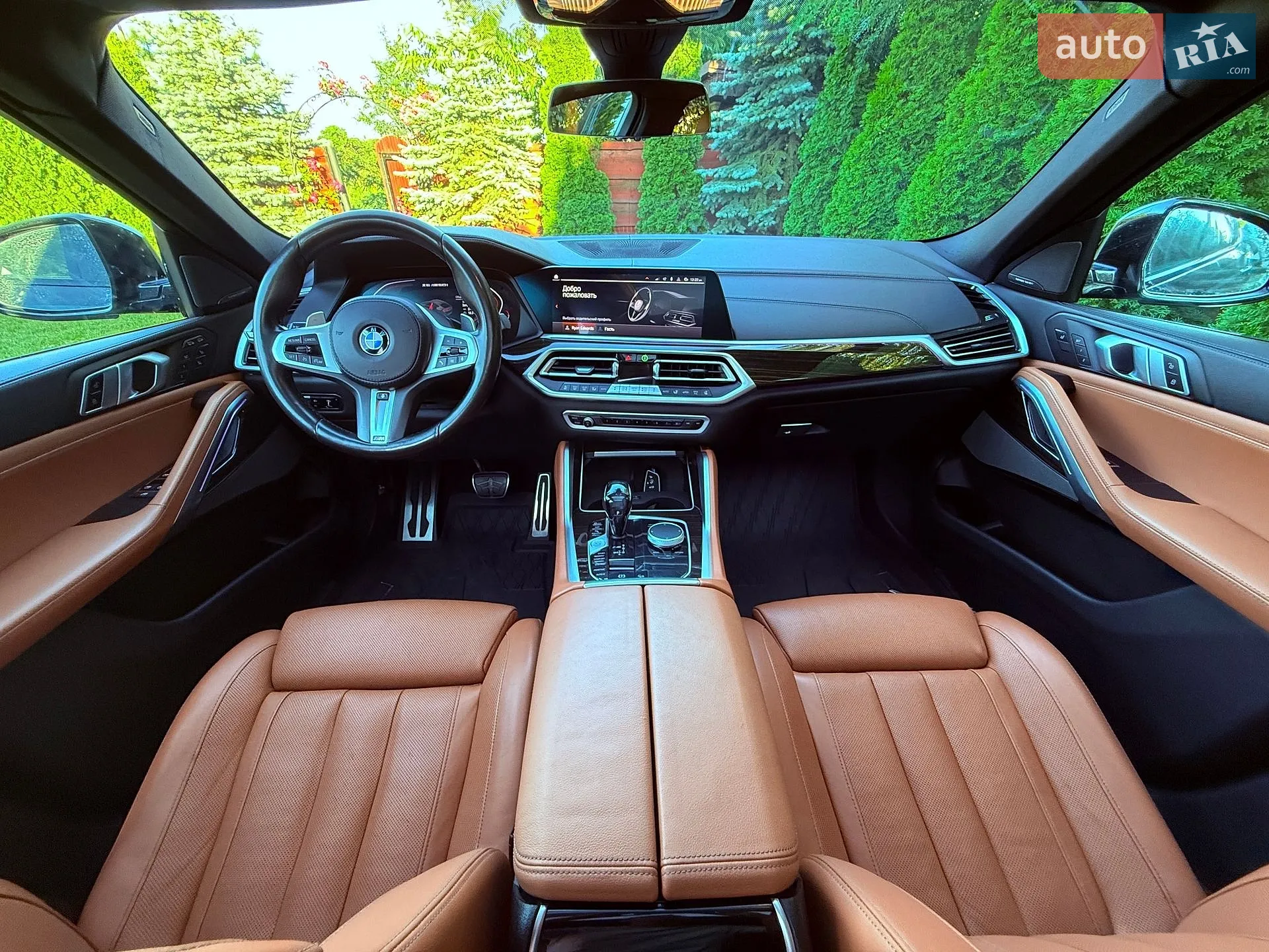 2020 BMW X6 - мініатюра 13