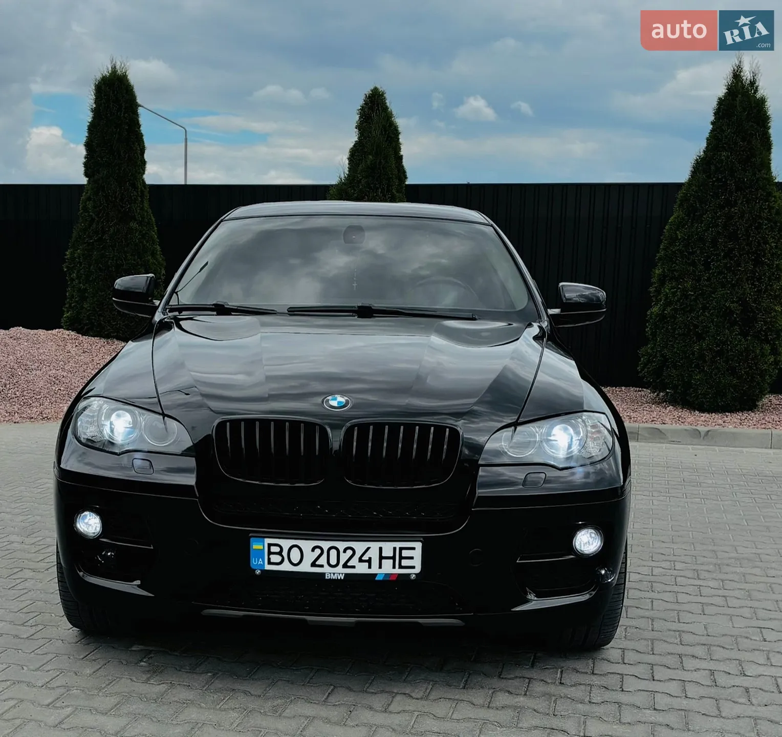 2013 BMW X6 - мініатюра 2